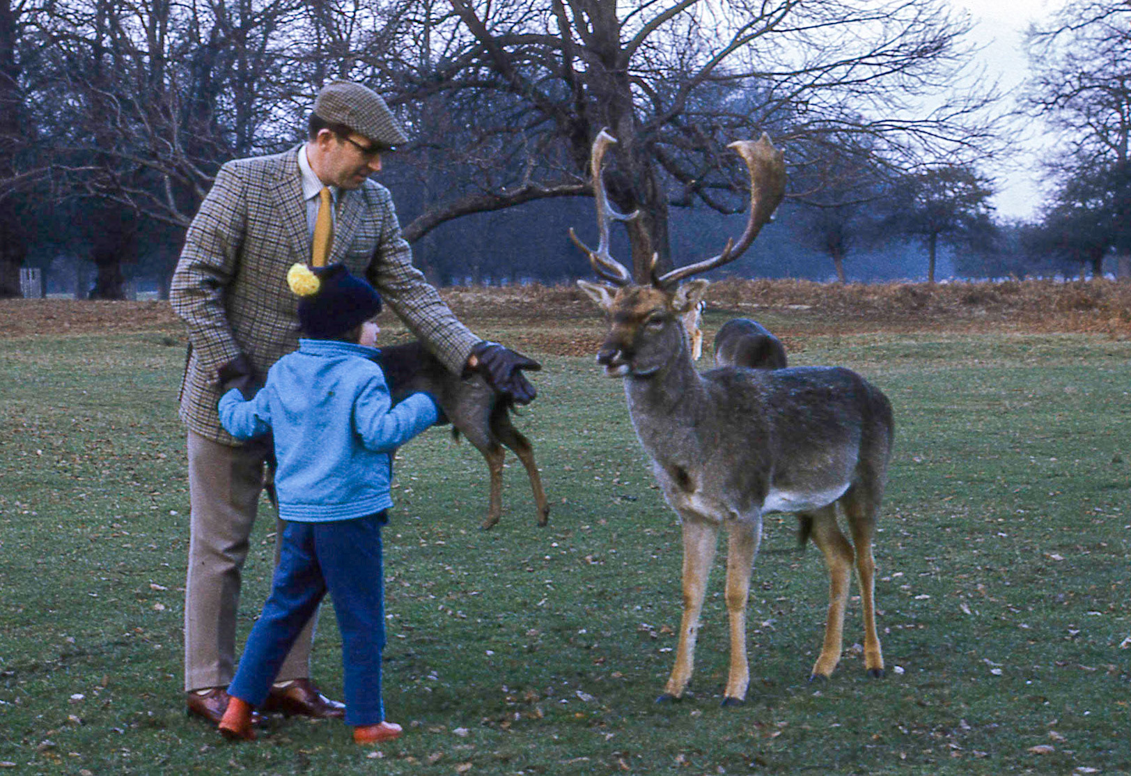 1973 Charles, Leafy