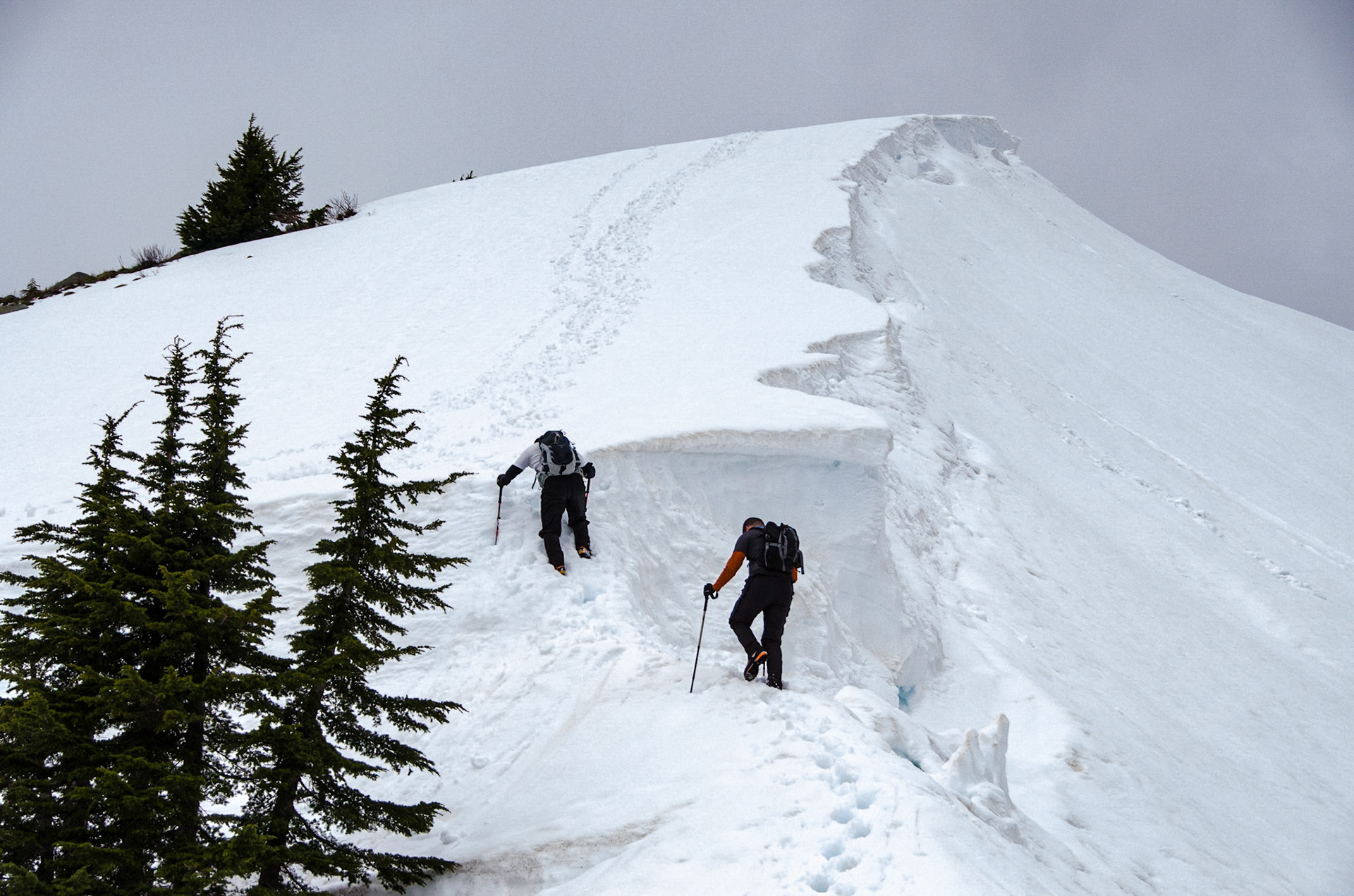 Spring Ascent