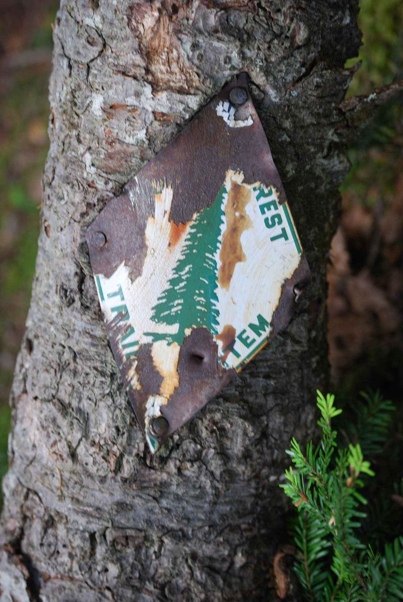 Dutch Miller Gap