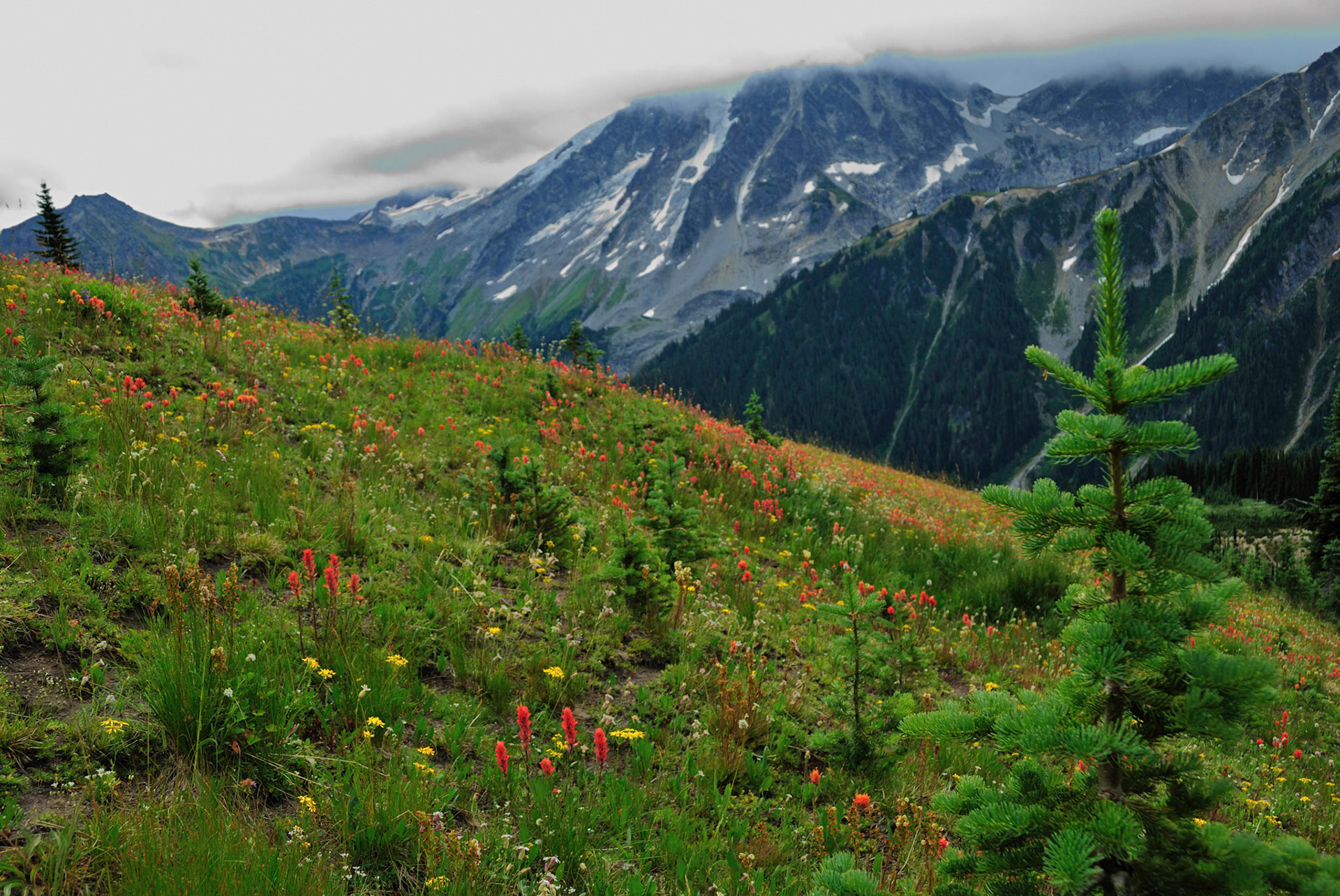 Glacier Peak Wilderness