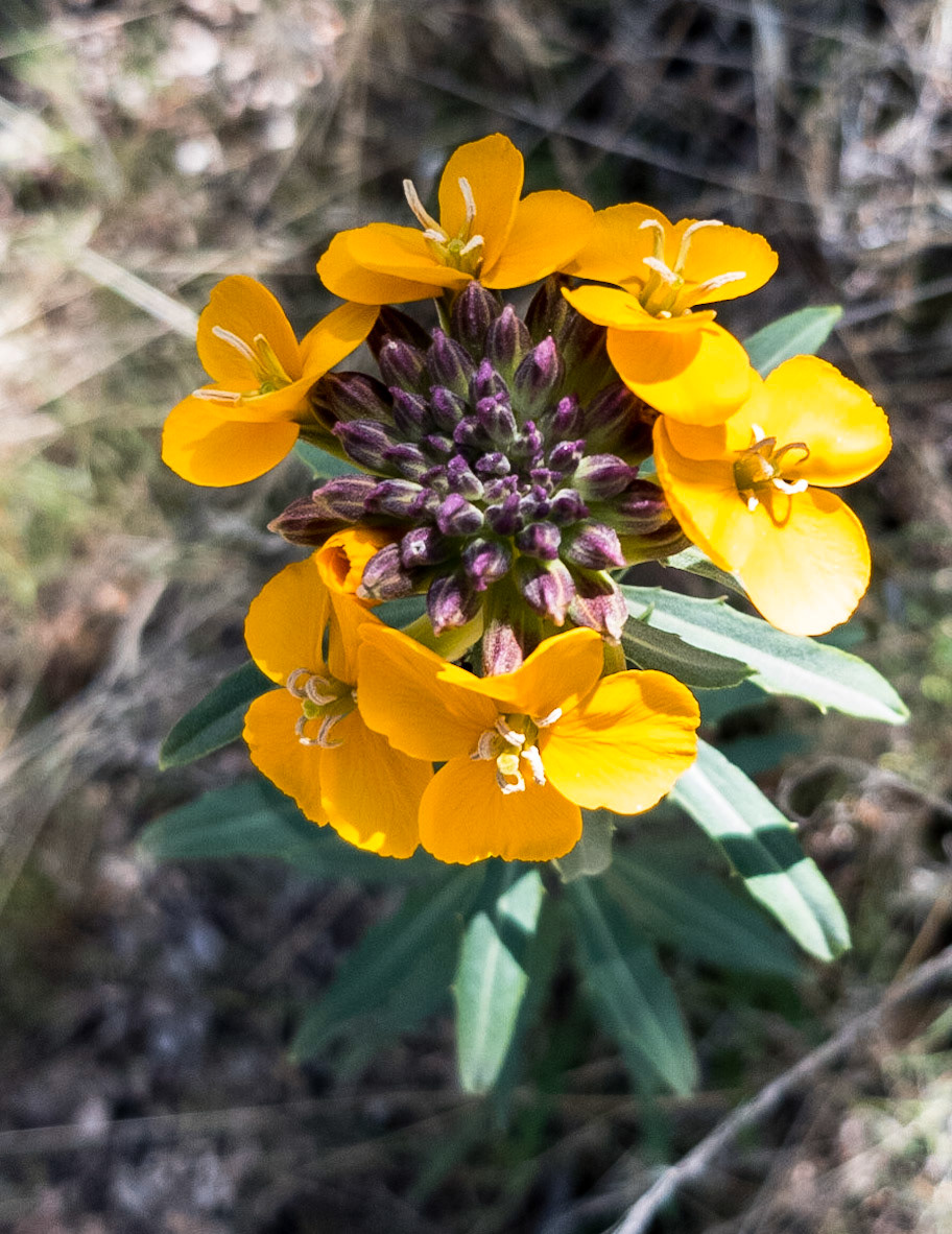 Near Deep Creek