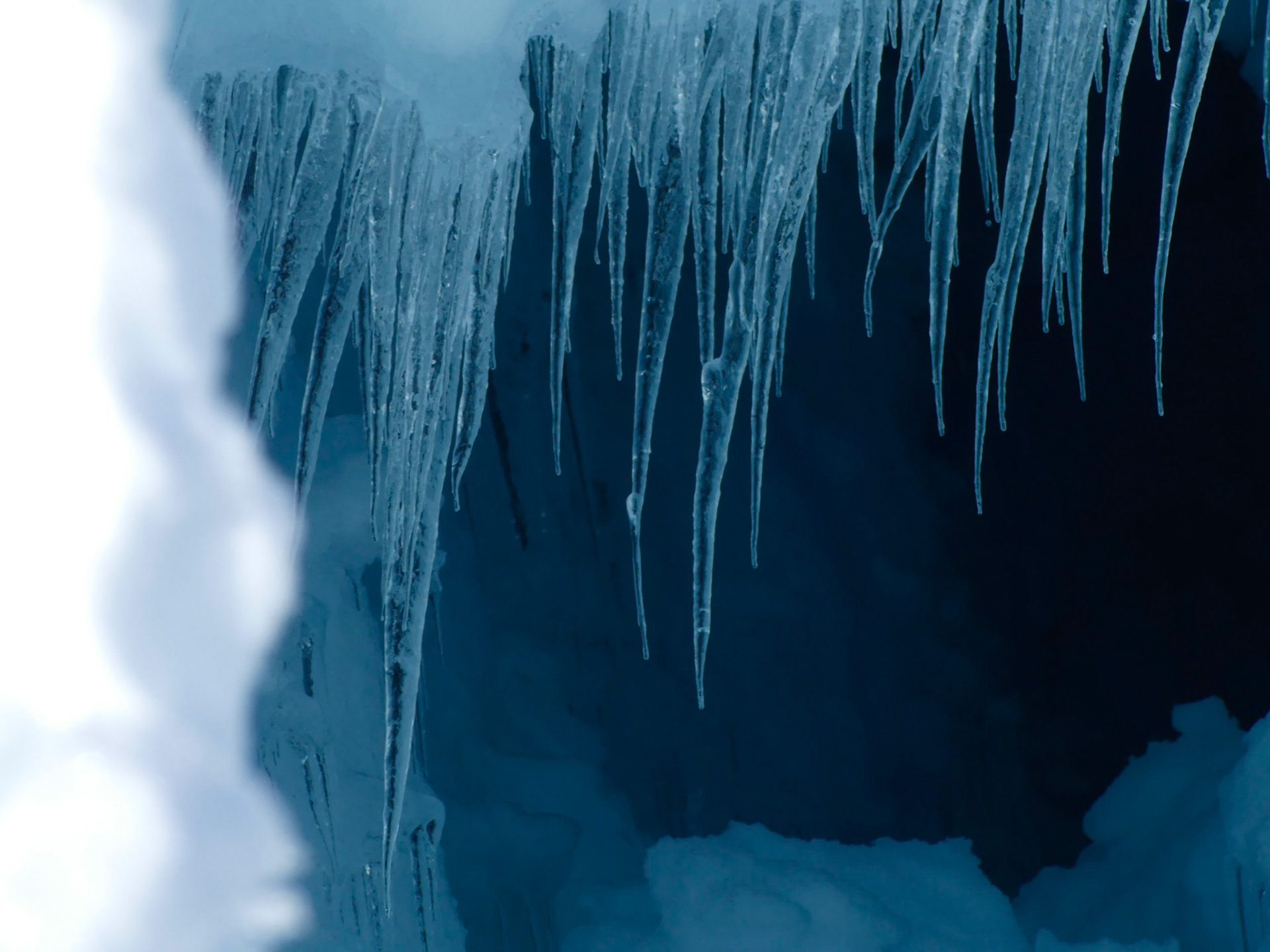 Icicles On Mt. Baker