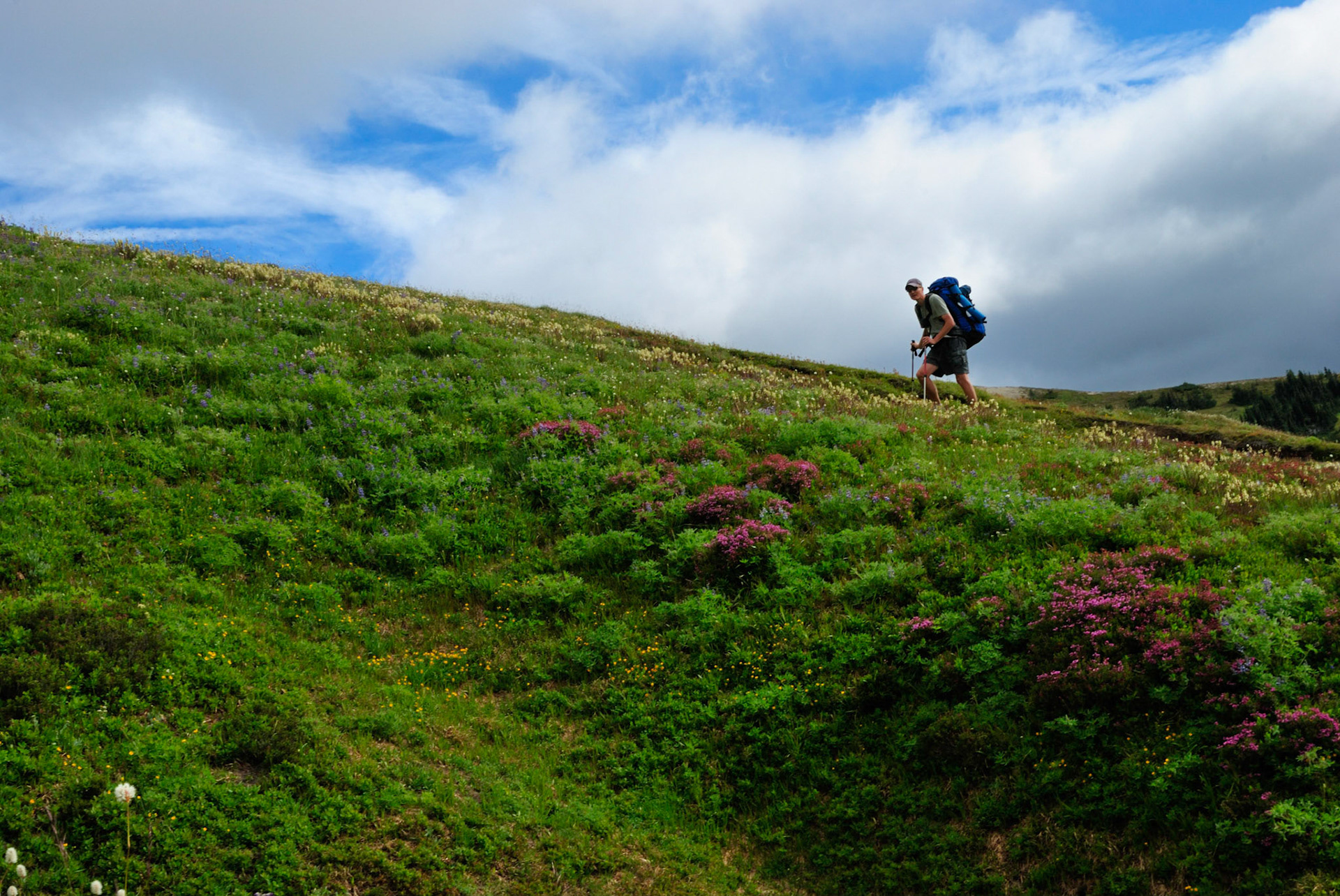 Glacier Peak Wilderness