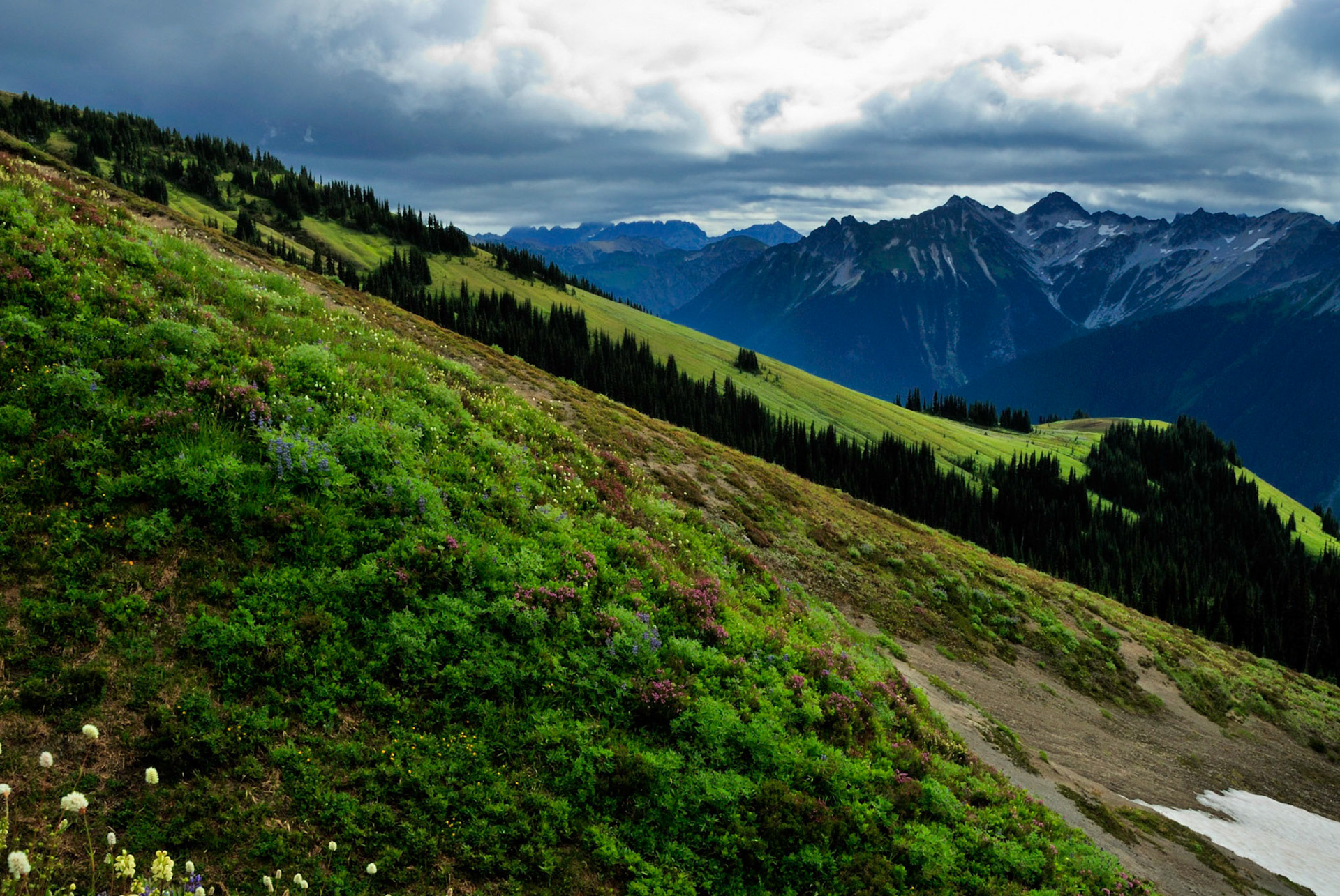 Glacier Peak Wilderness