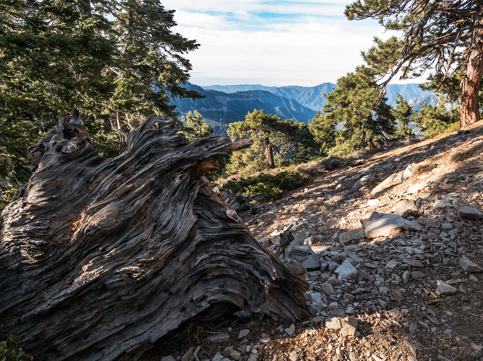 Above Angeles Crest Hwy