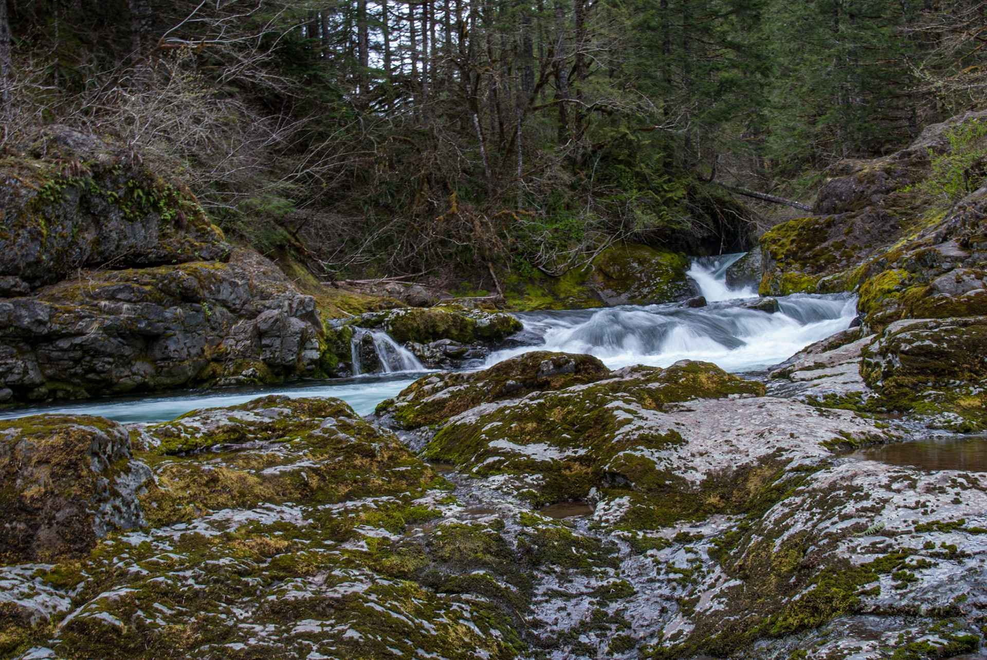 Rock Creek - Skamania County