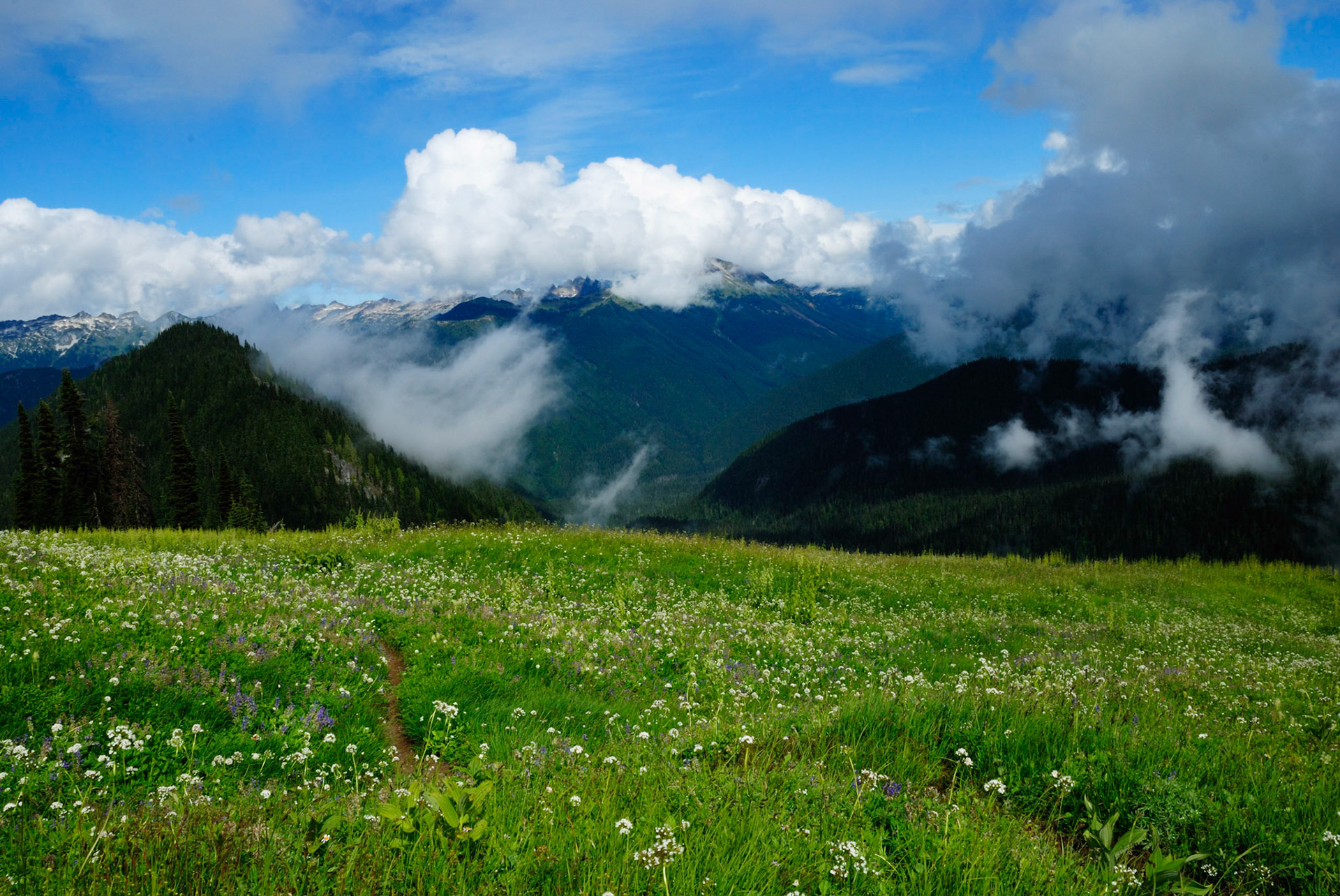 PCT Glacier Peak Wilderness