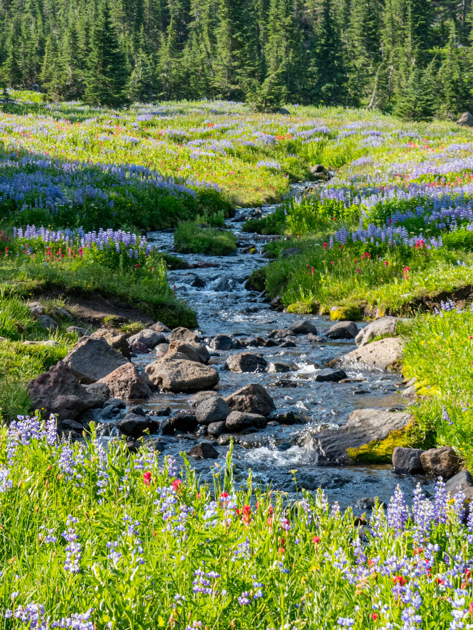 Three Sisters Wilderness