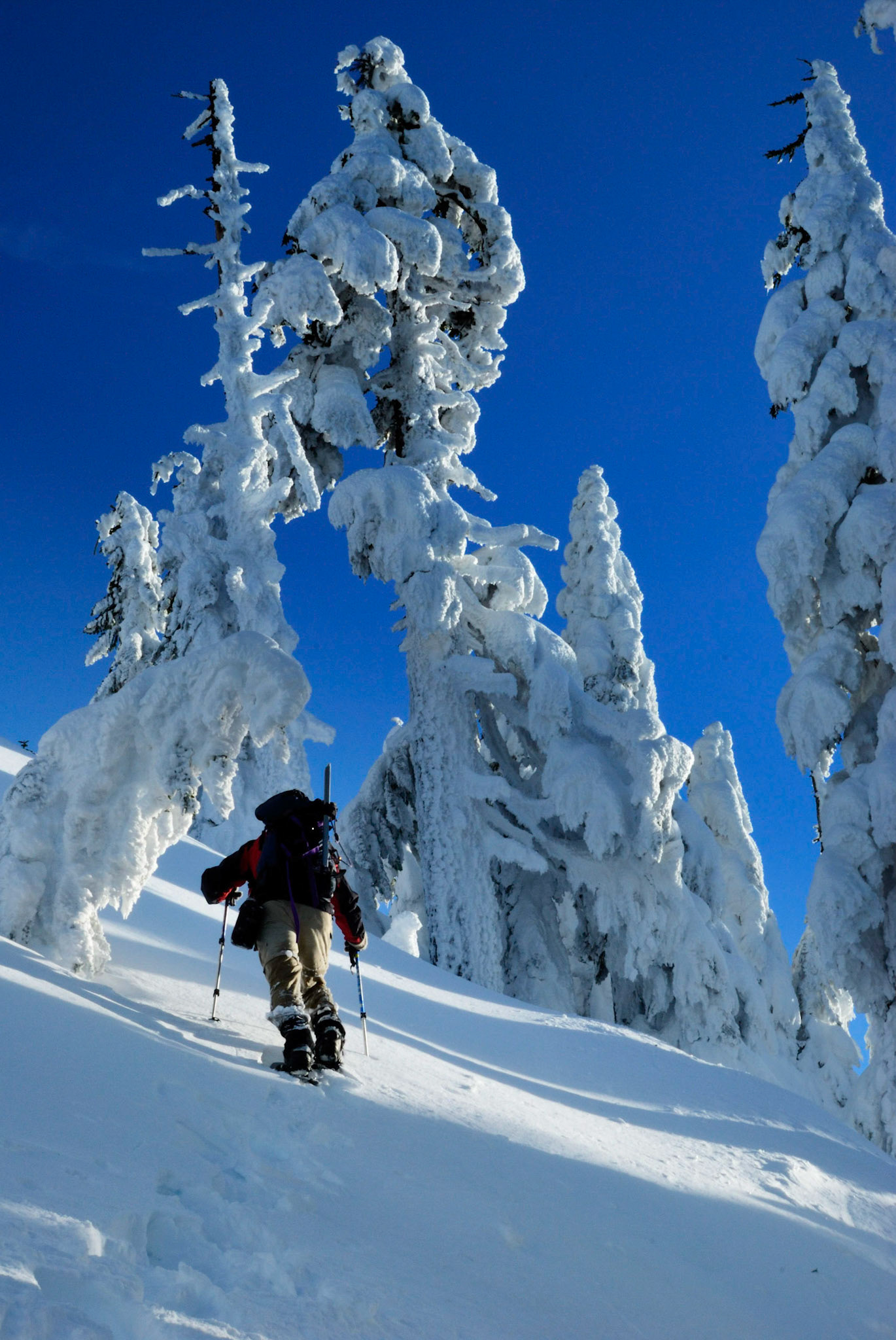 Ascending McClellan Butte