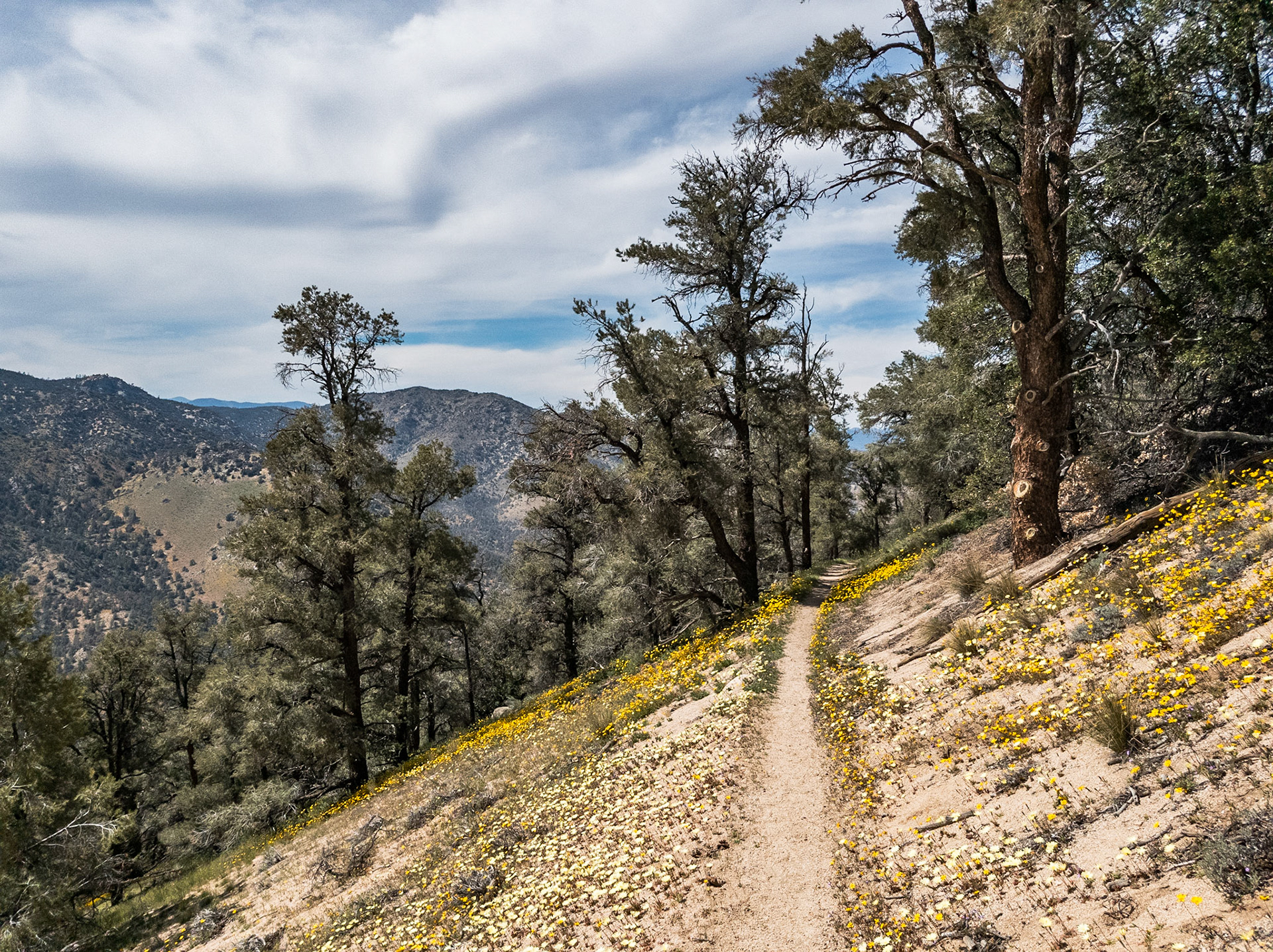 South of Walker Pass