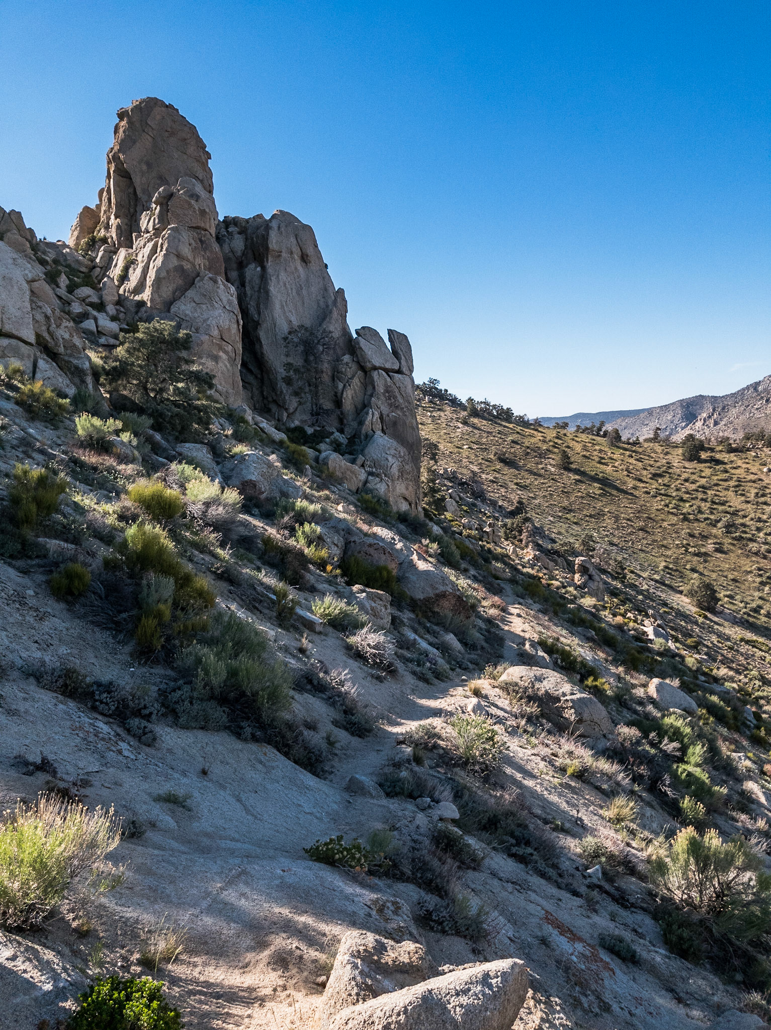 Near Wyleys Knob - Weldon, CA