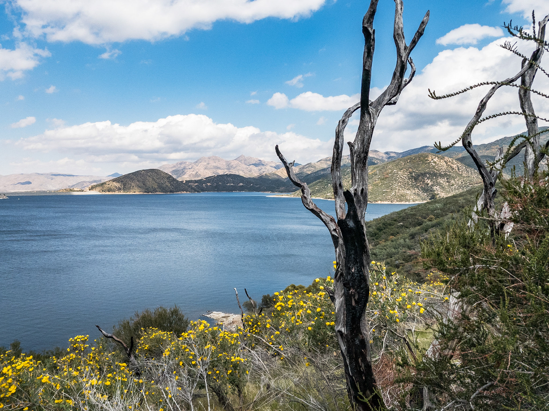 Silverwood Lake