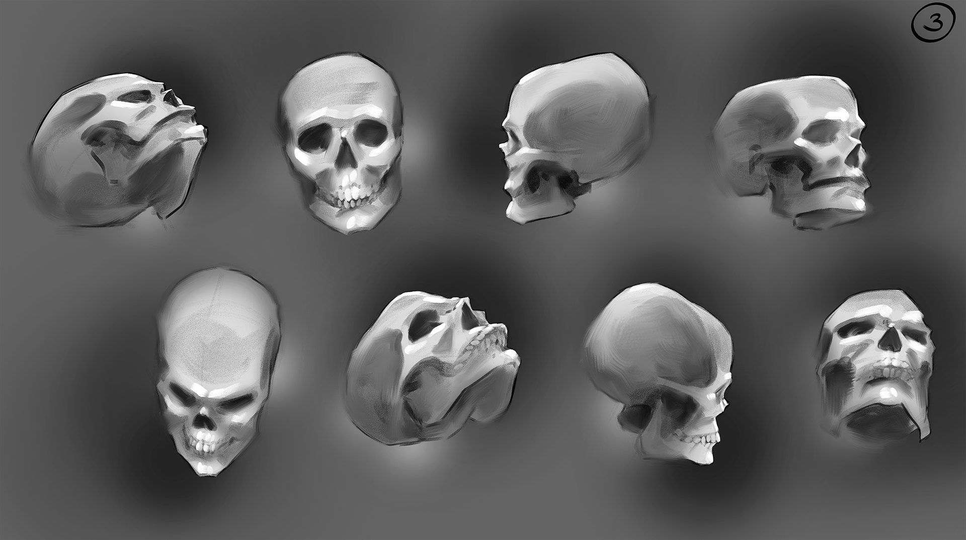 Skull studies, page 3 out of 10