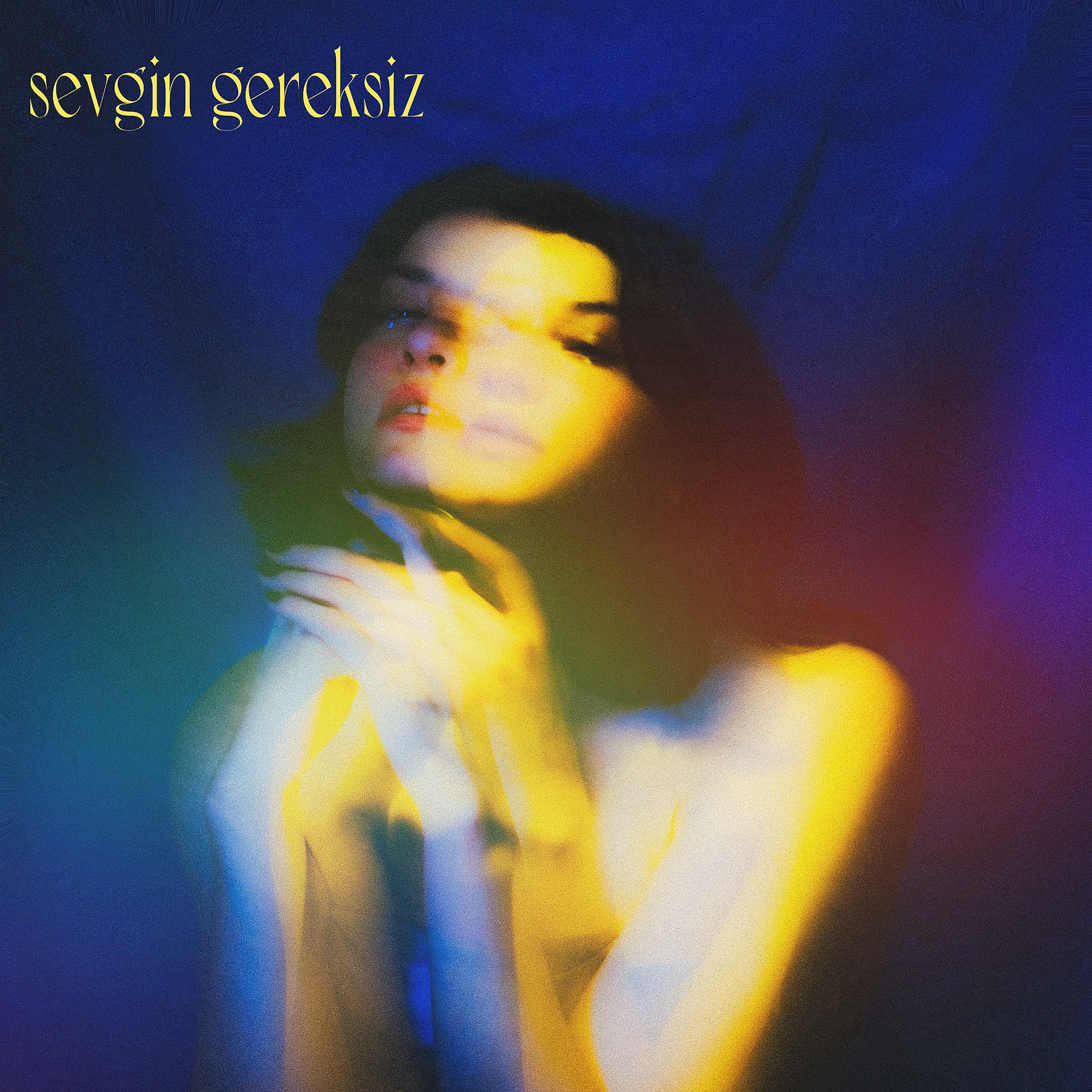 Ezgi Kardelen / Sevgin Gereksiz ( Single )