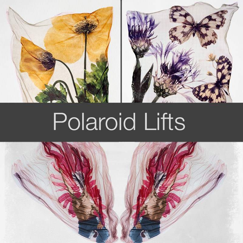 Polaroid lifts wall art photos by professional photographer Paul E Williams