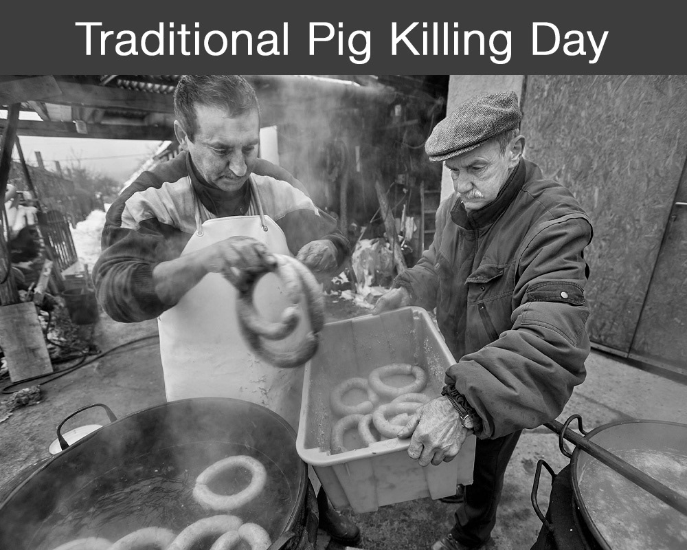 Traditional Hungarian Pig Killing Day - A rare glimpse of a traditional pig killing day -  photos taken photo wall art by professional photographer Paul E Williams.
