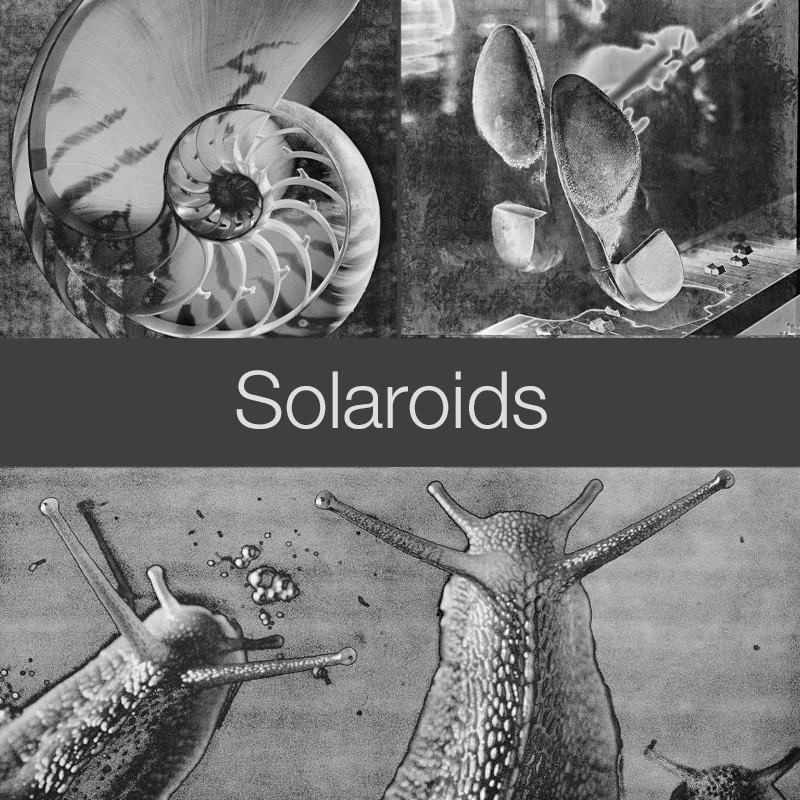 Solarised Solaroid Polaroid black and white monotone wall art photos by professional photographer Paul E Williams