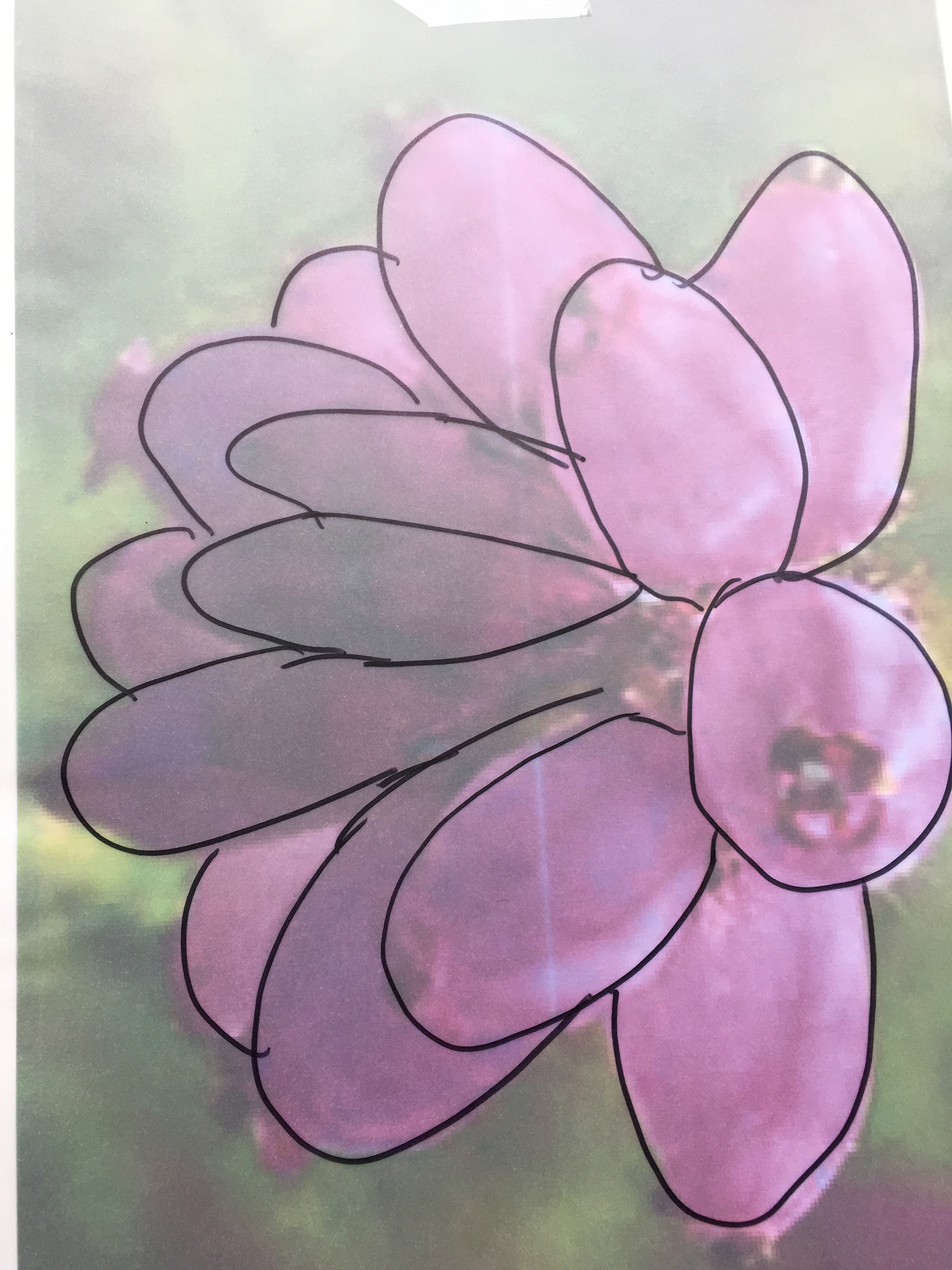 I then traced around the shapes which I could find.