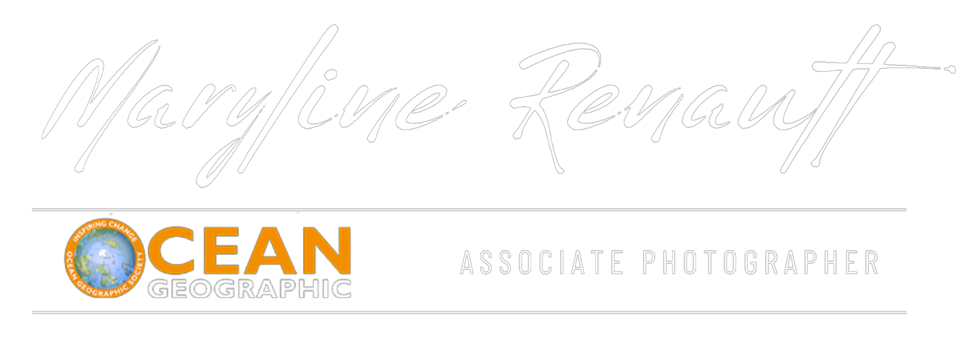 Maryline Renault