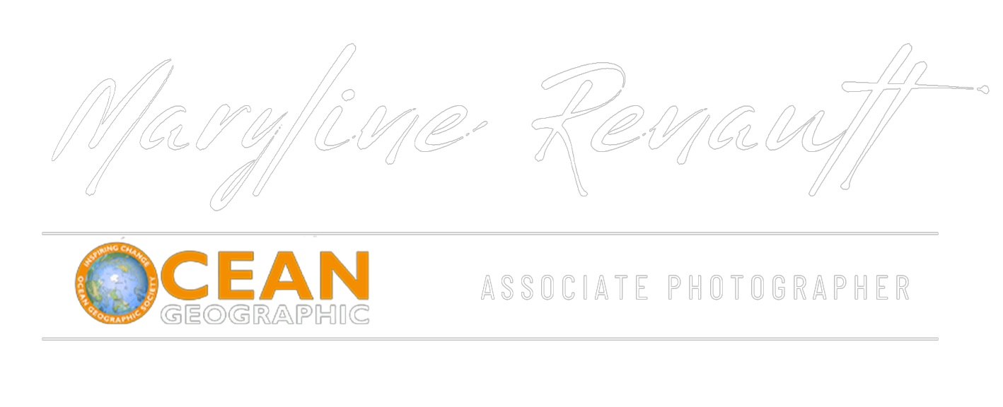 Maryline Renault
