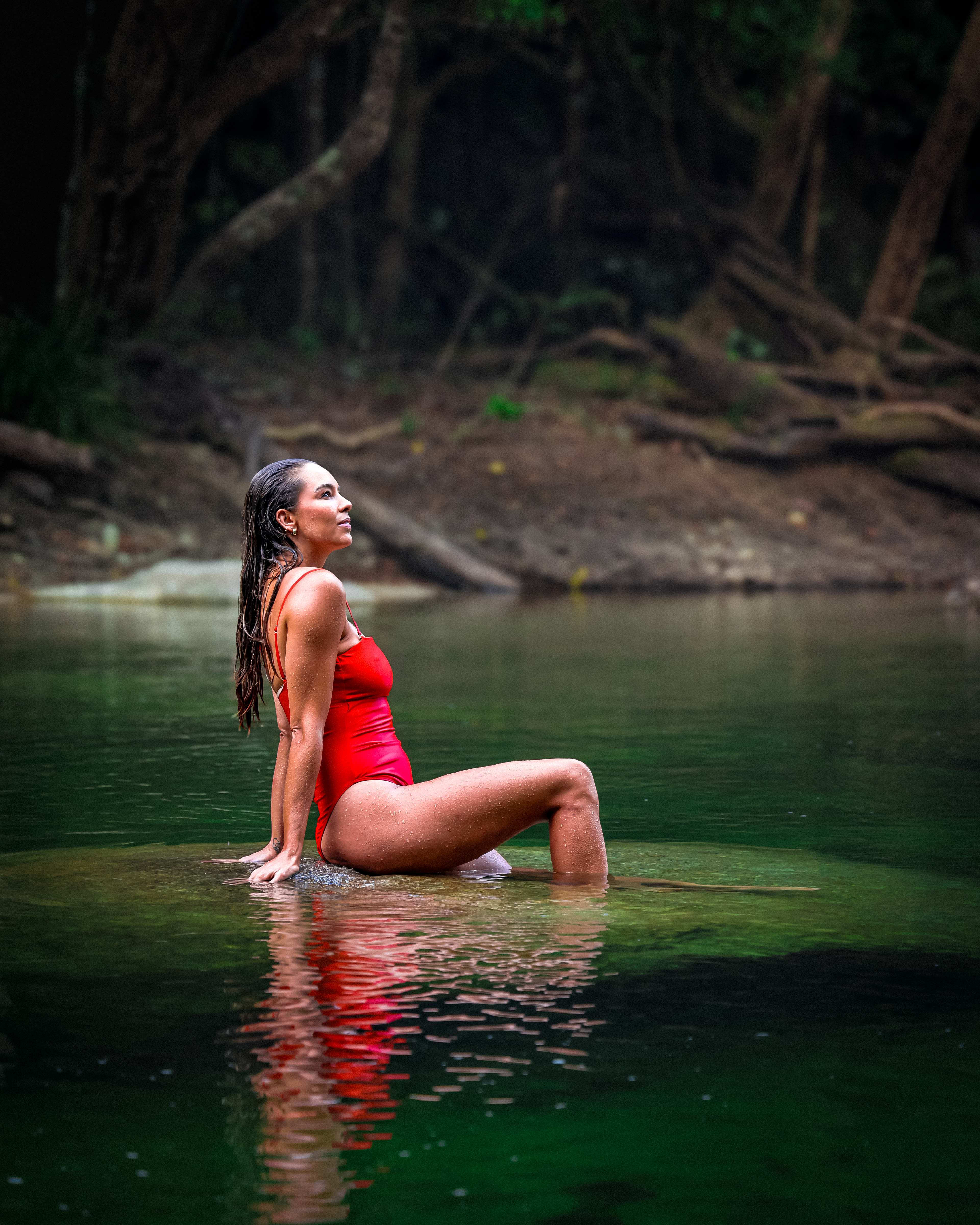 Green Reflection - Mossman Gorge 2024