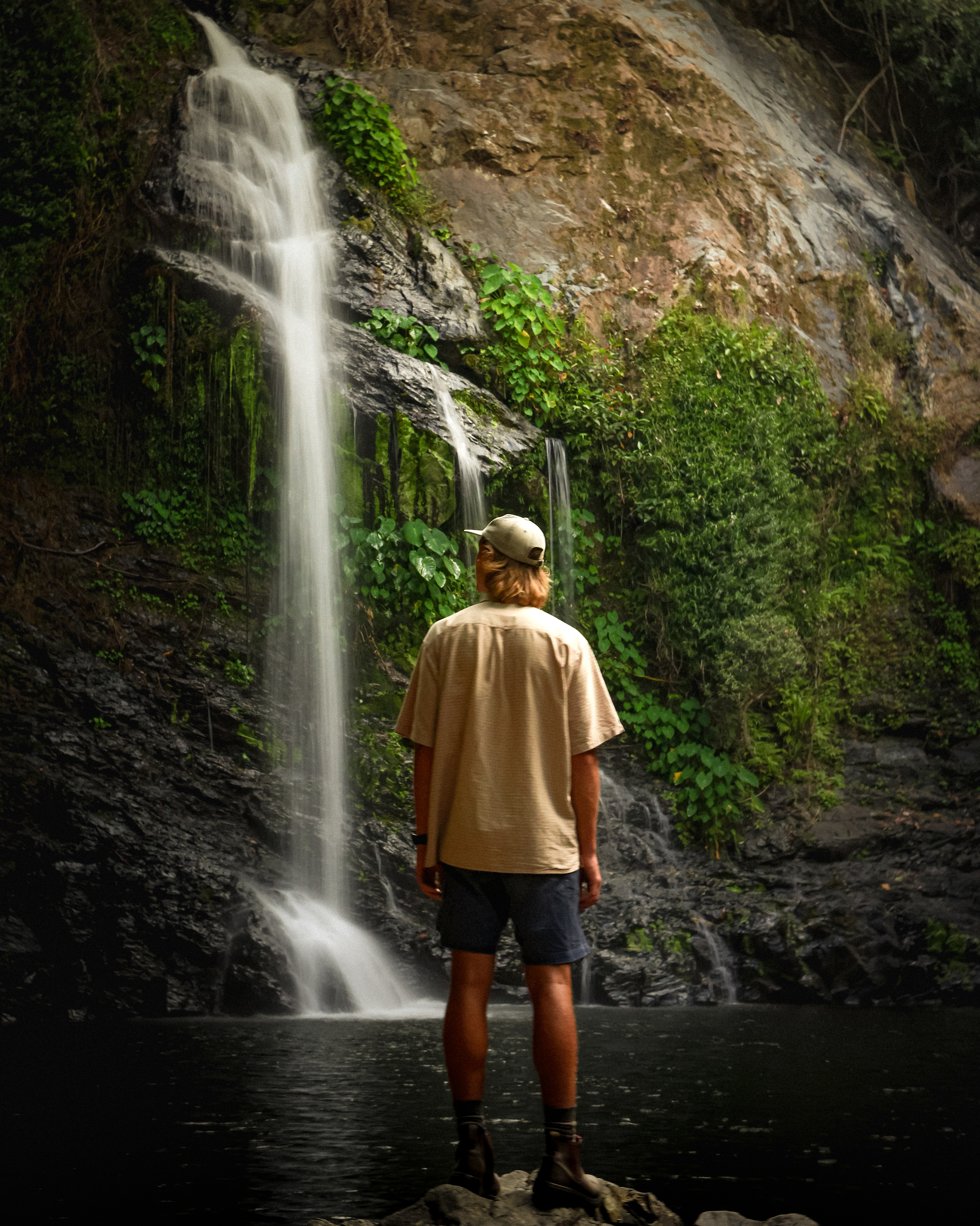 Contemplation - Cassowary Falls 2024