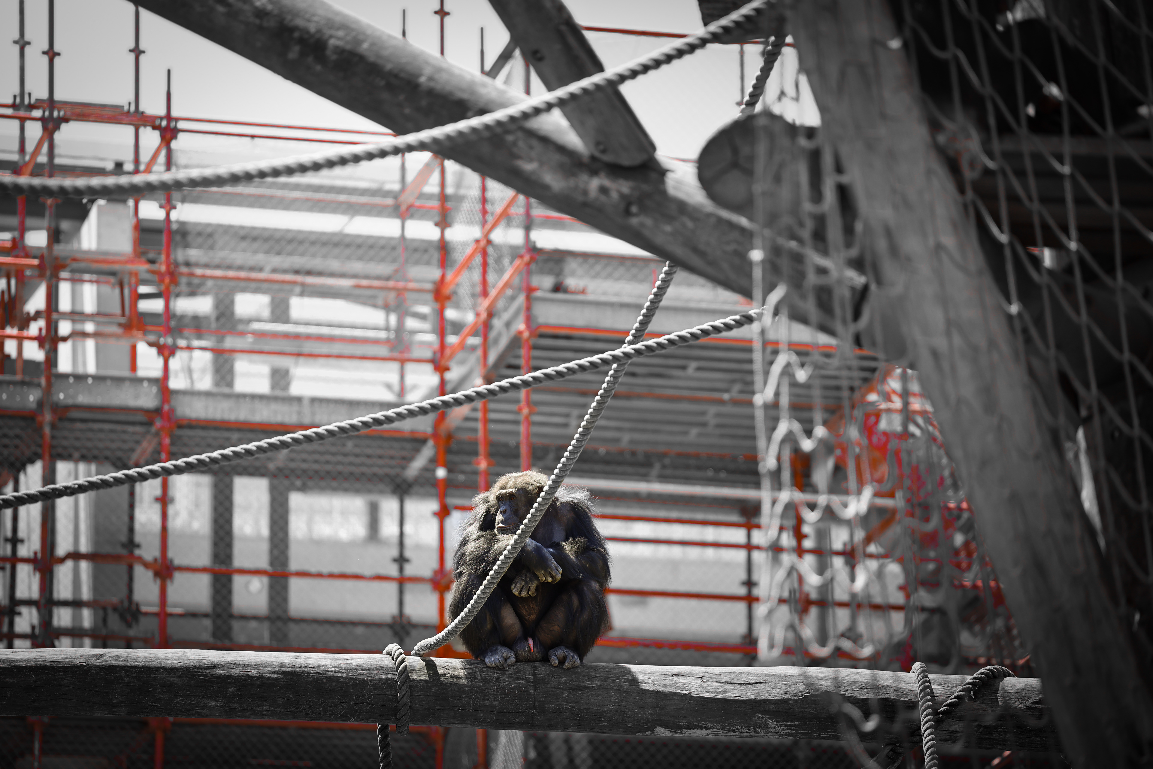 Loud Silence - Sydney 2025