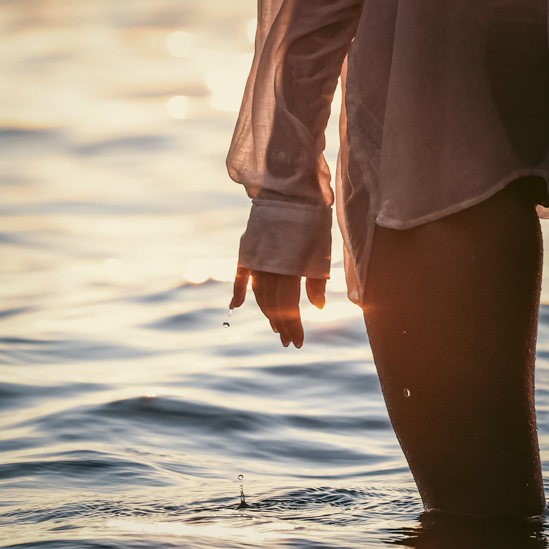 Shoreline - Sydney 2025