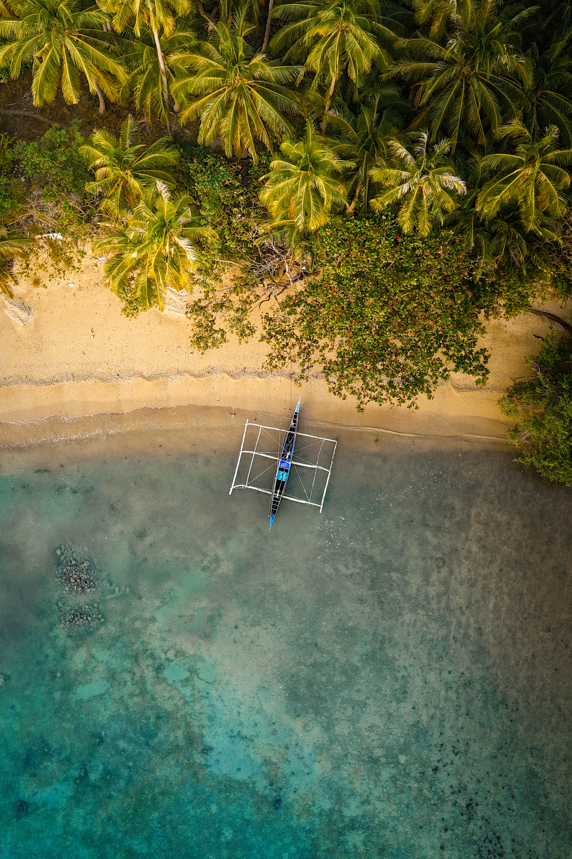 Between Palm Shadows and Clear Waters - Coron 2025