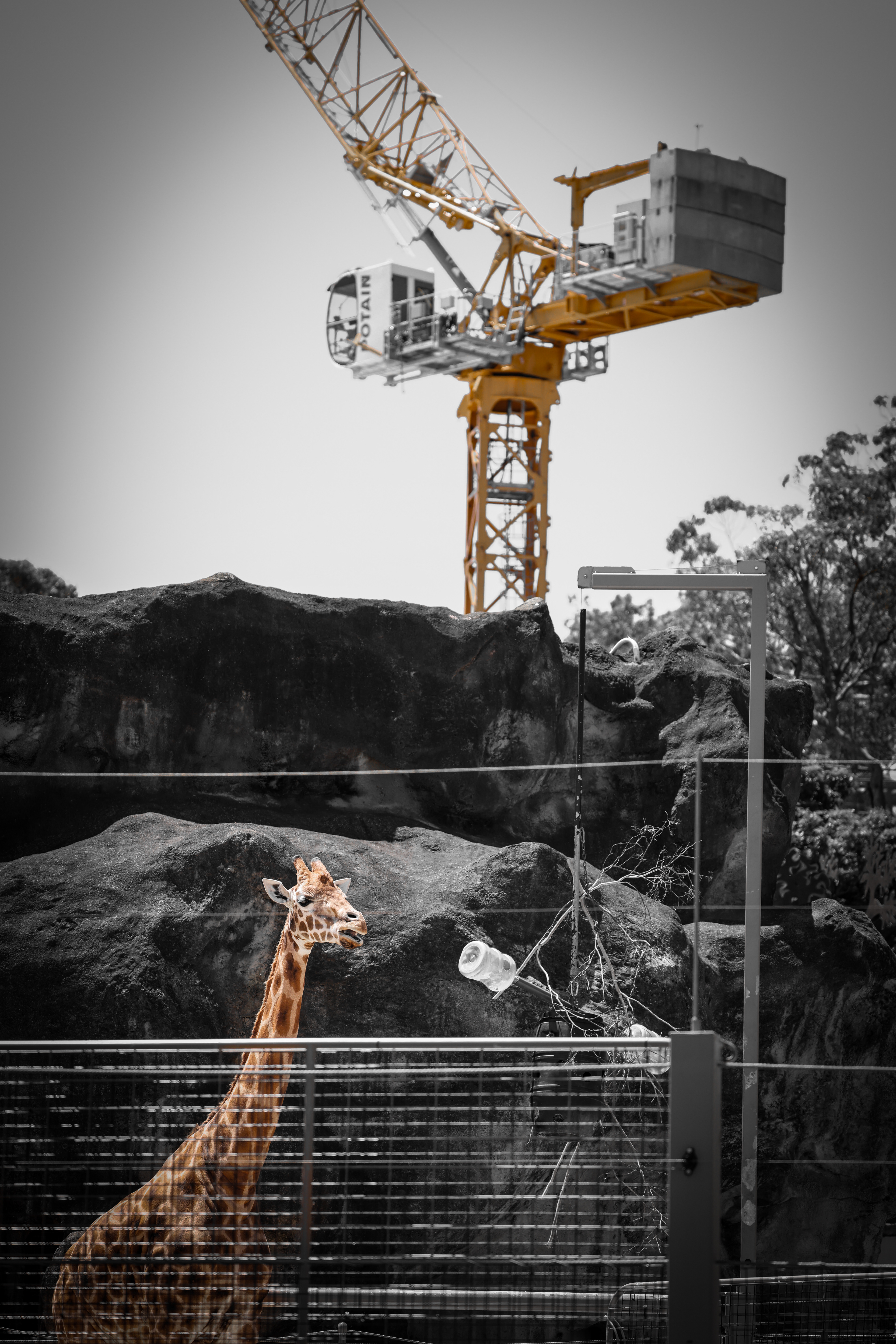 Out of Place - Sydney 2025