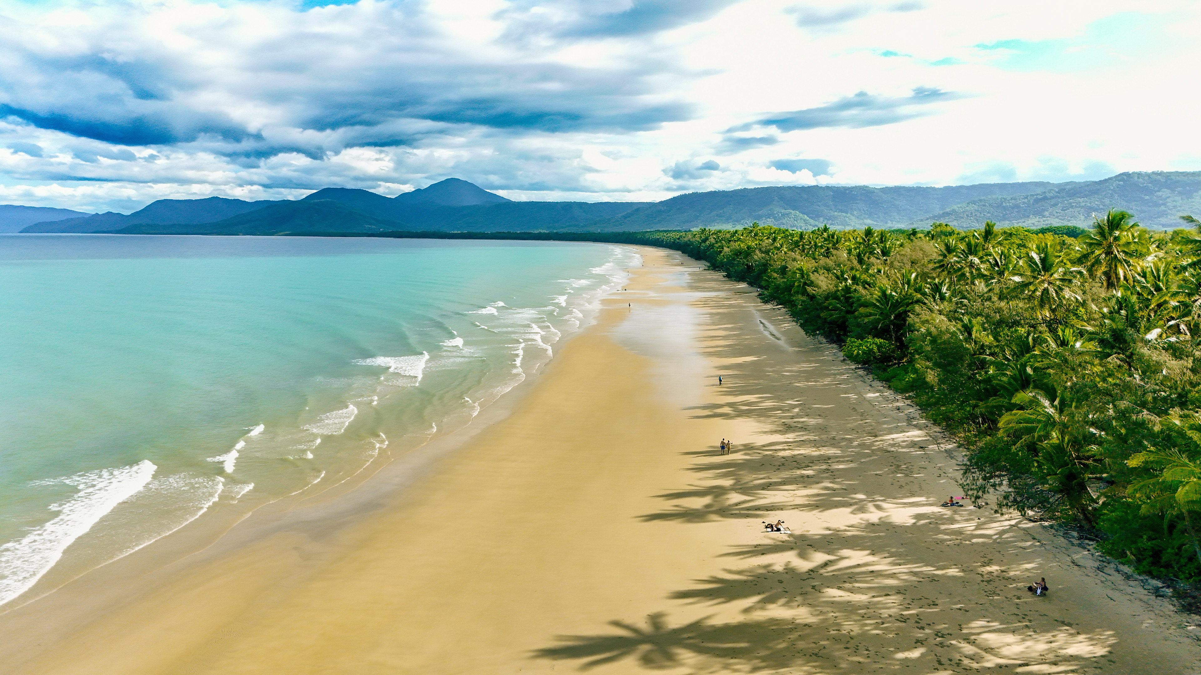 The Curve of Paradise - Port Douglas 2024