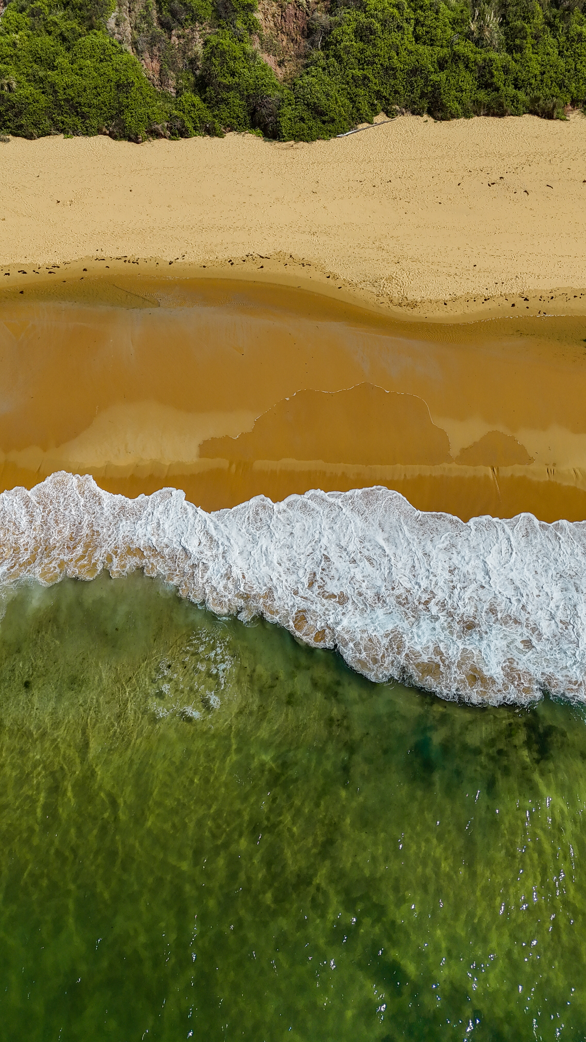 Waves - Central Coast 2025