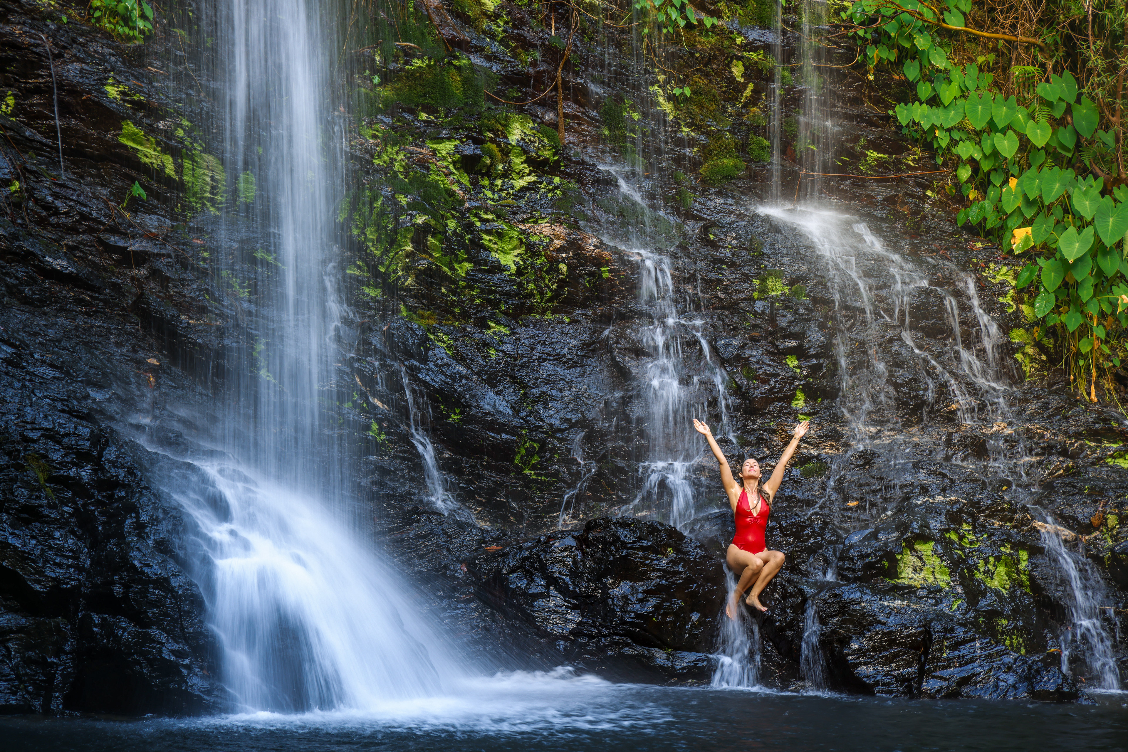 Under the Fall - Cassowary Falls 2024