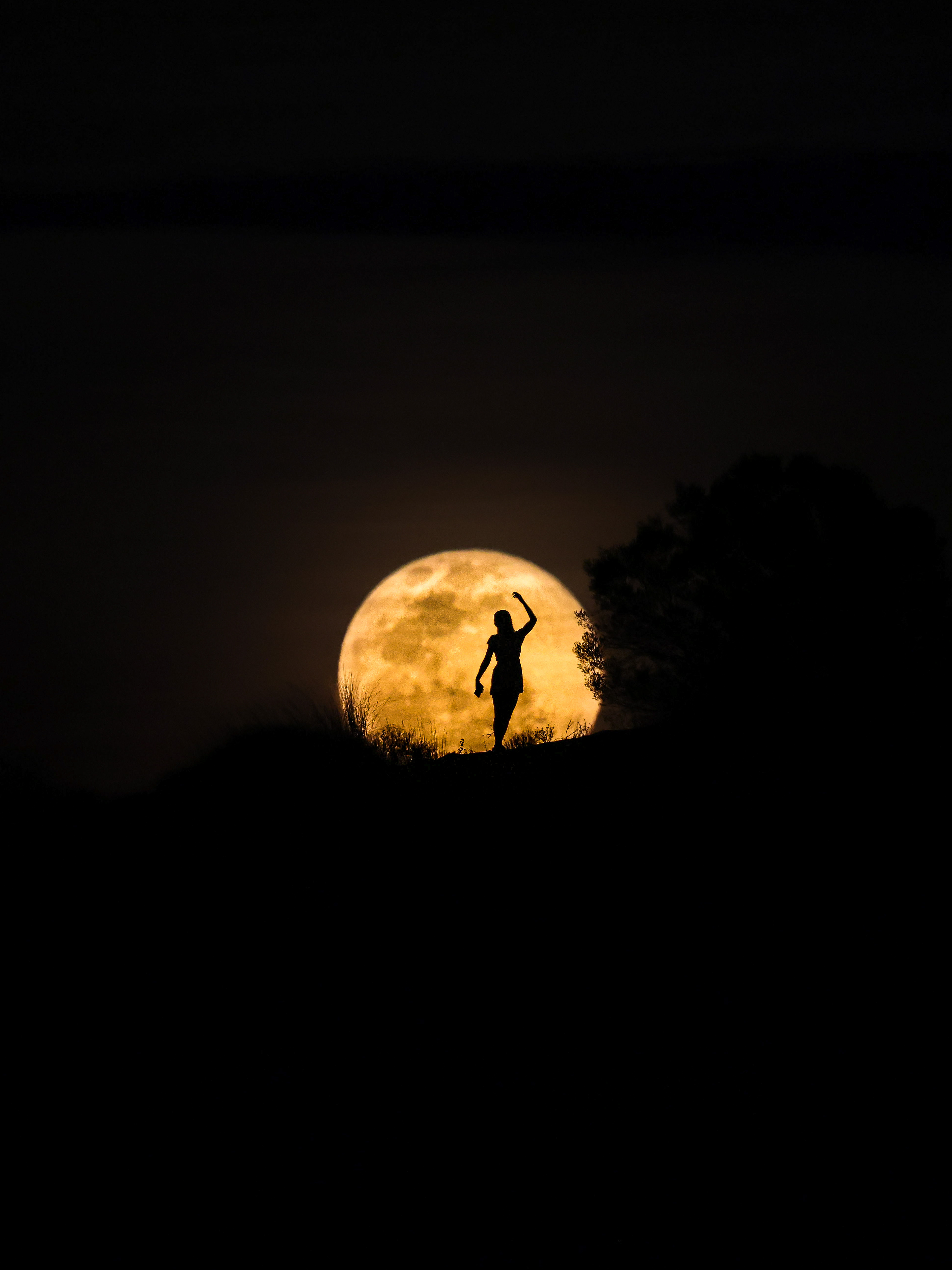 Silhouette - Yulara 2025