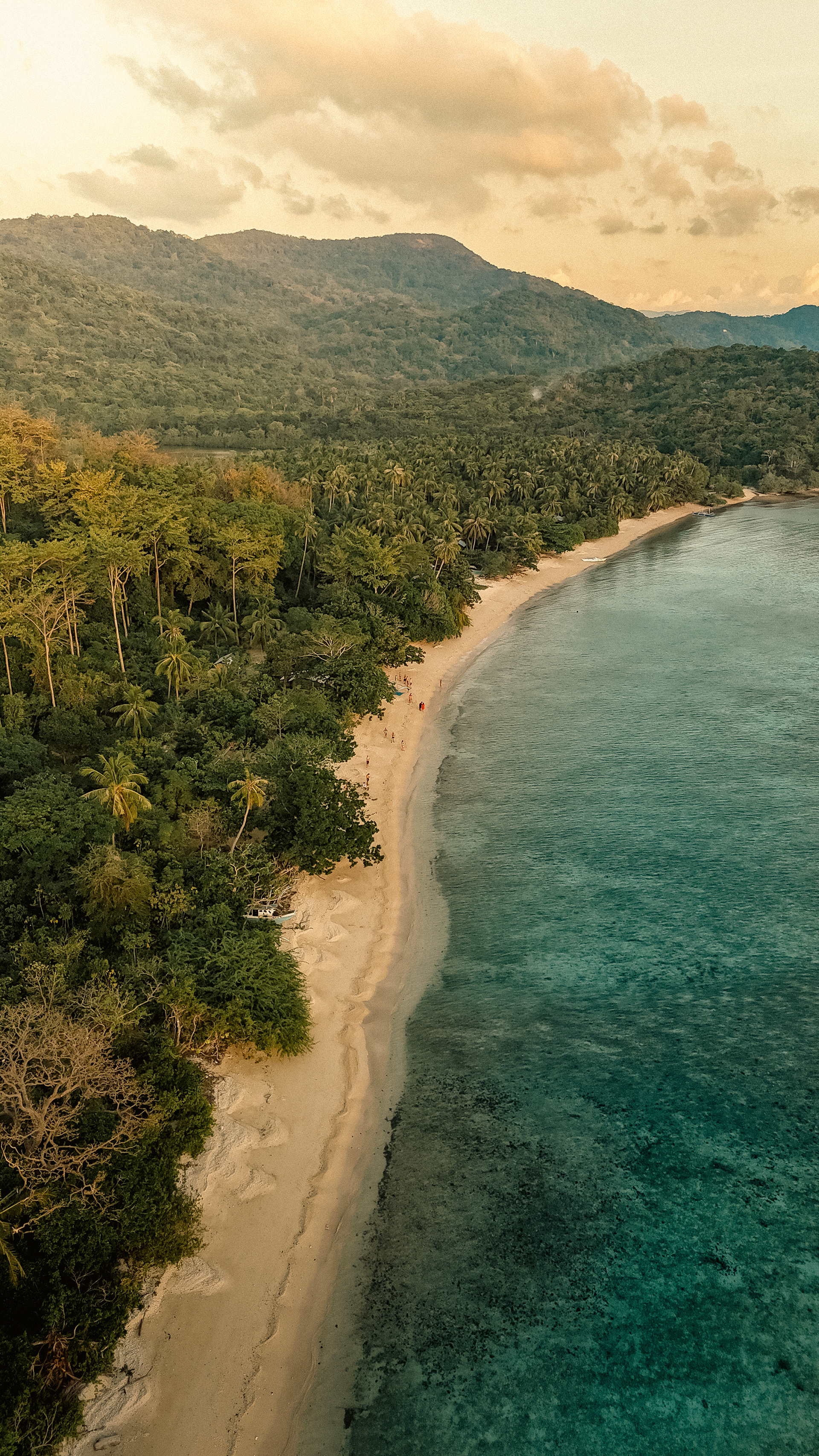 When the Forest Meets the Sea - Philippines 2025