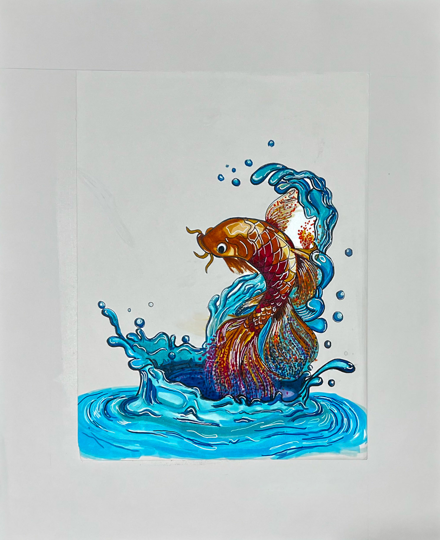 Koi in Motion | Winter 2025