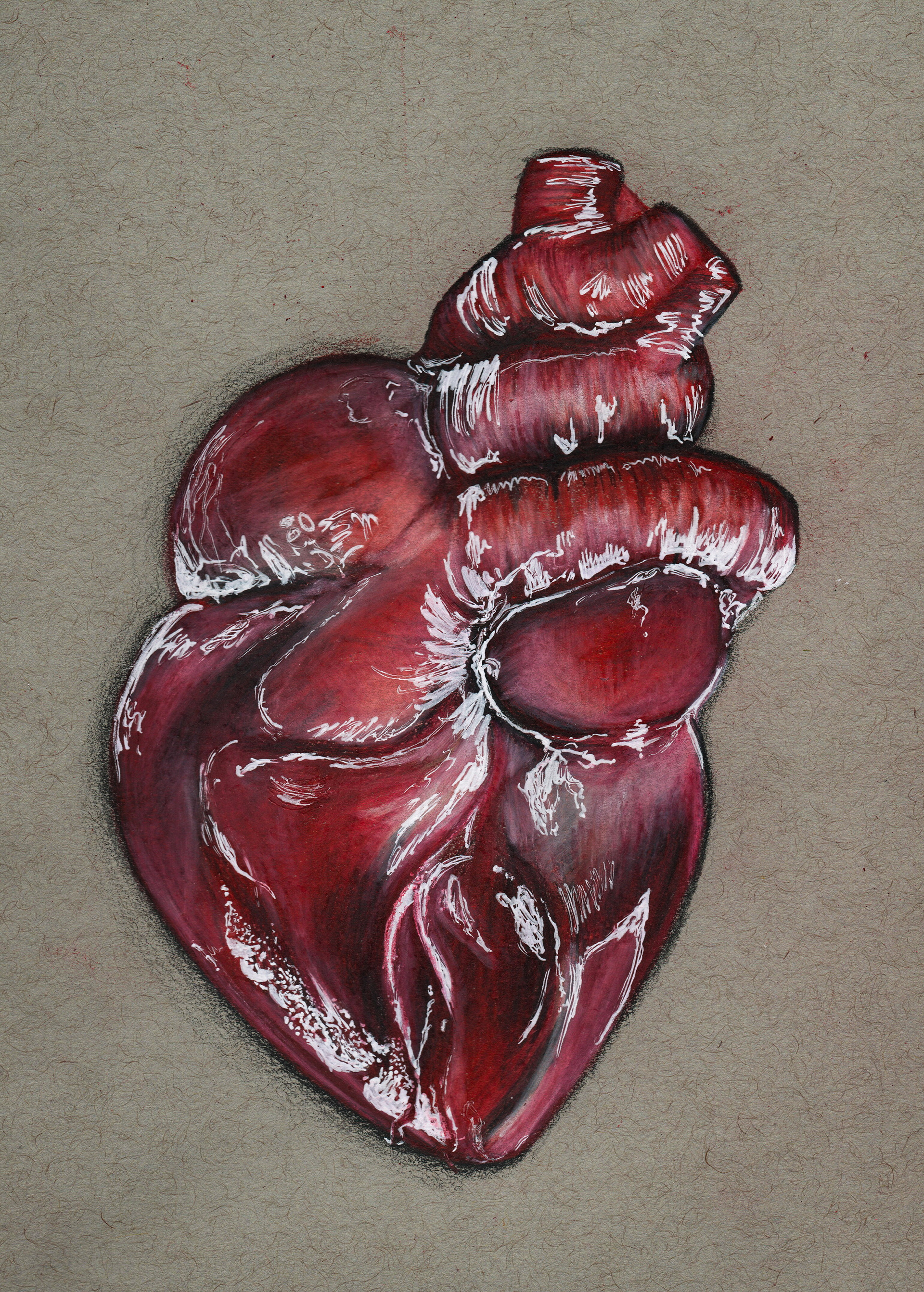 "Jeune de Coeur" | 5x8 colored pencil and white gel pen on toned gray paper