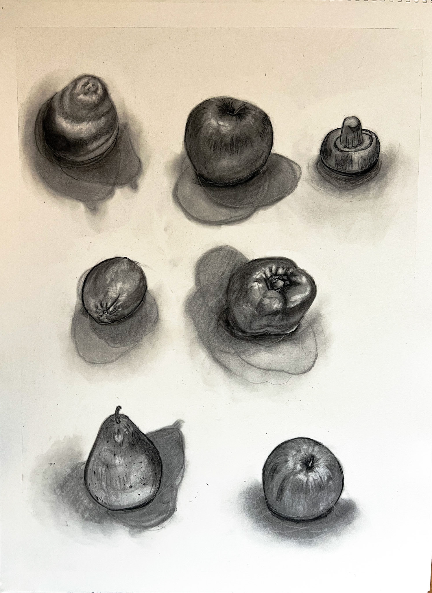 Fruits Study | Basic Drawing - Fall 2024