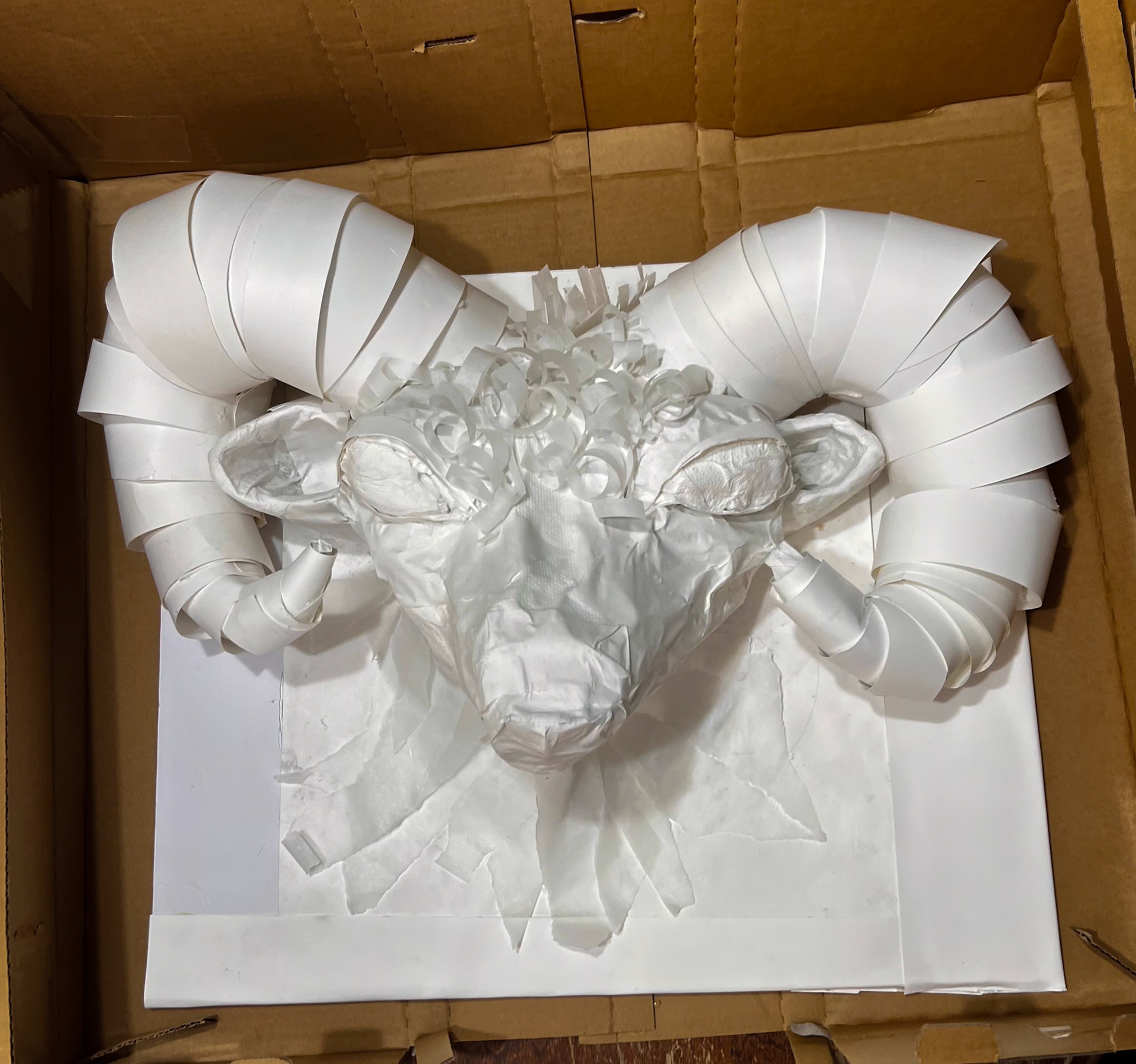 "Aries" Final Project | Winter 2025