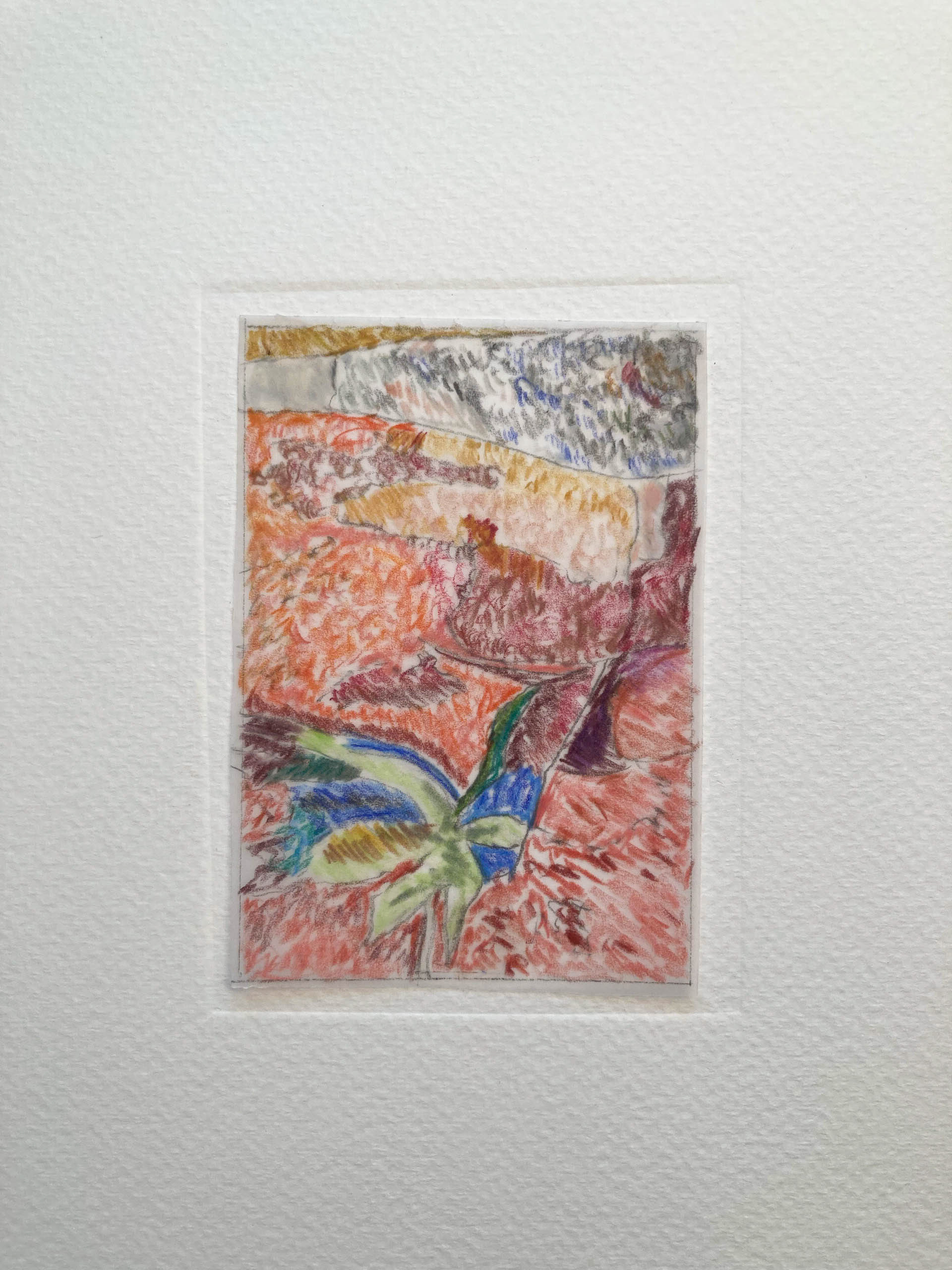 abstraction organique 9. Pencil drawing 7,5 W x 10 H cm