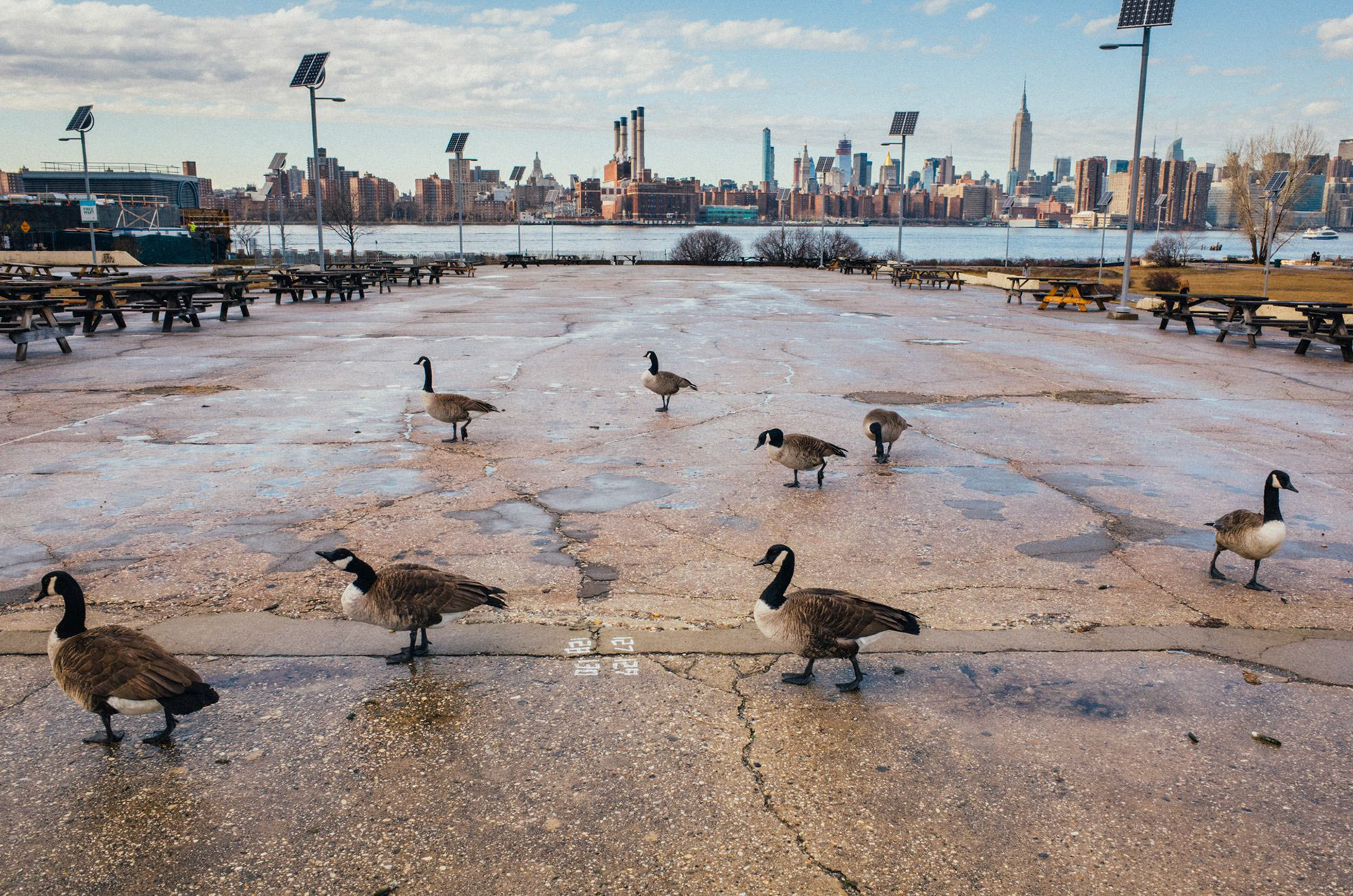 NYC - 273