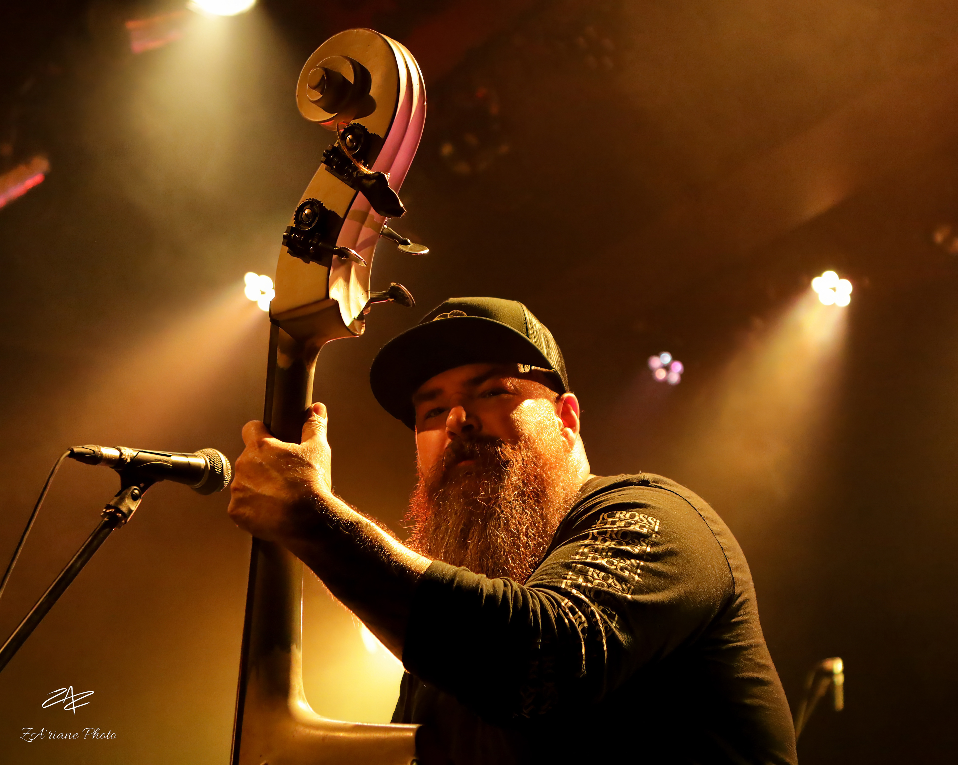 The Creepshow // Espace Mandeville