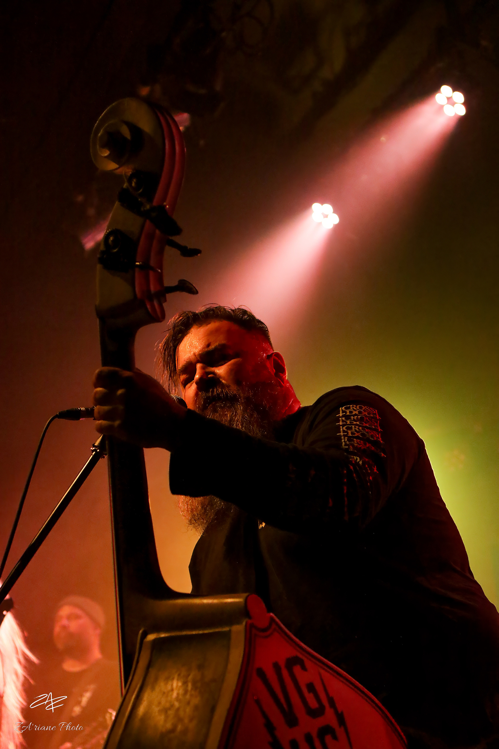 The Creepshow // Espace Mandeville