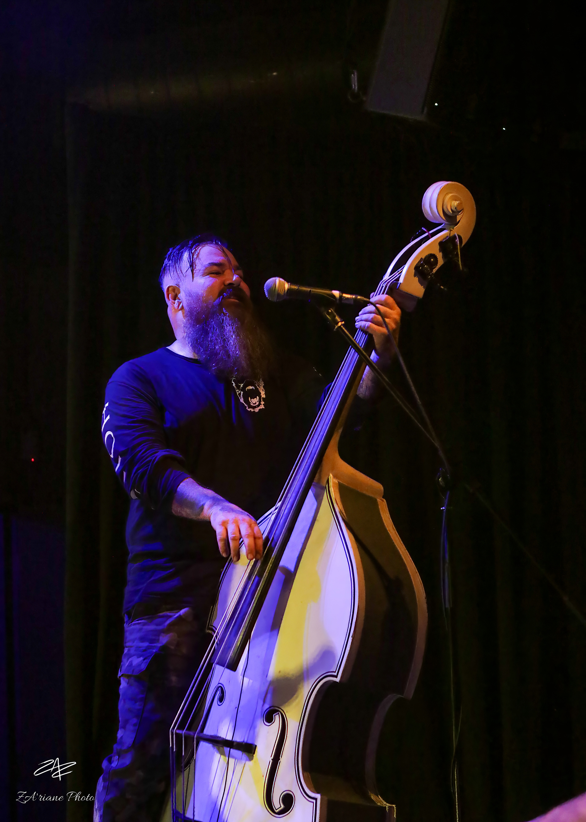 The Creepshow // Espace Mandeville