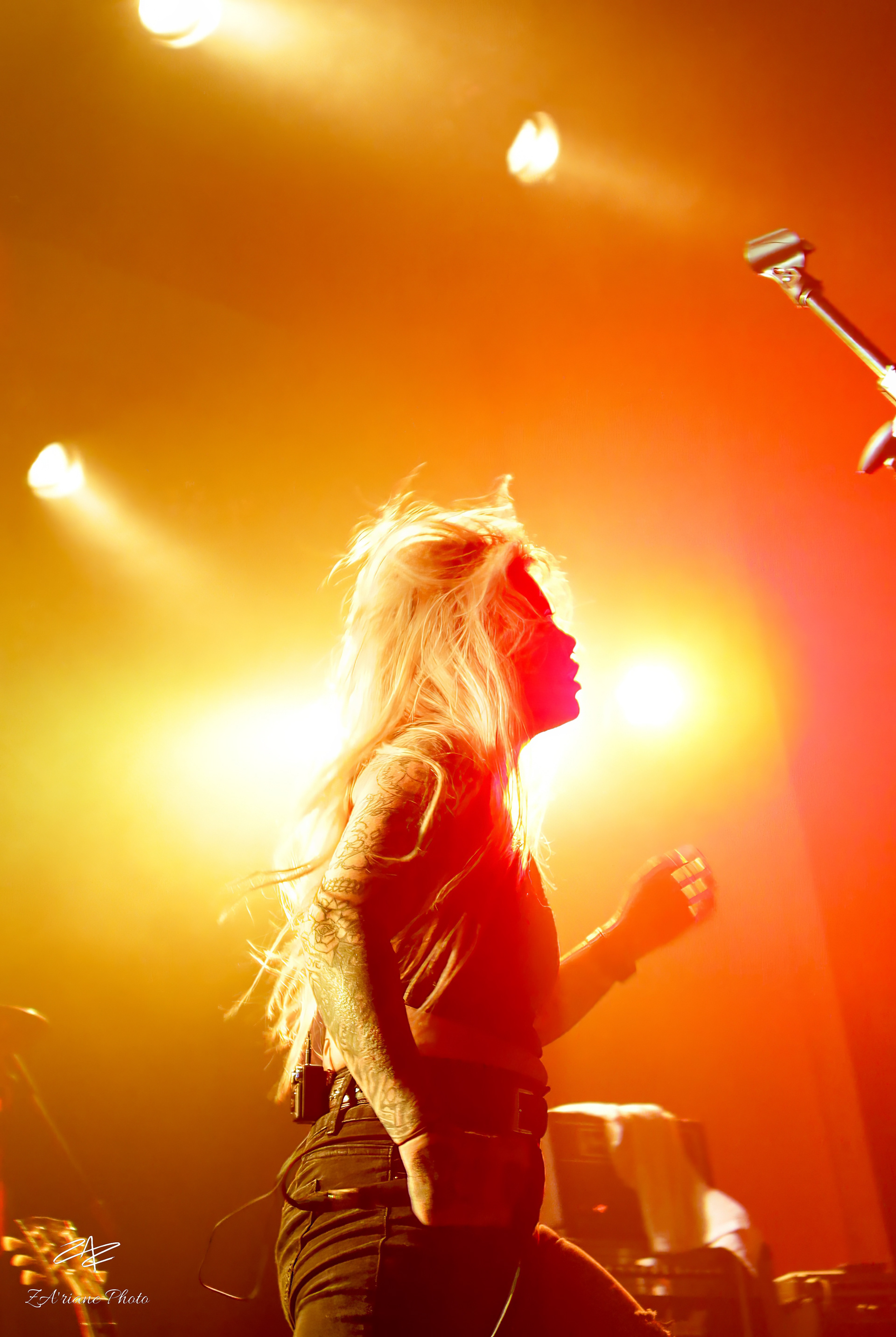 The Creepshow // Espace Mandeville