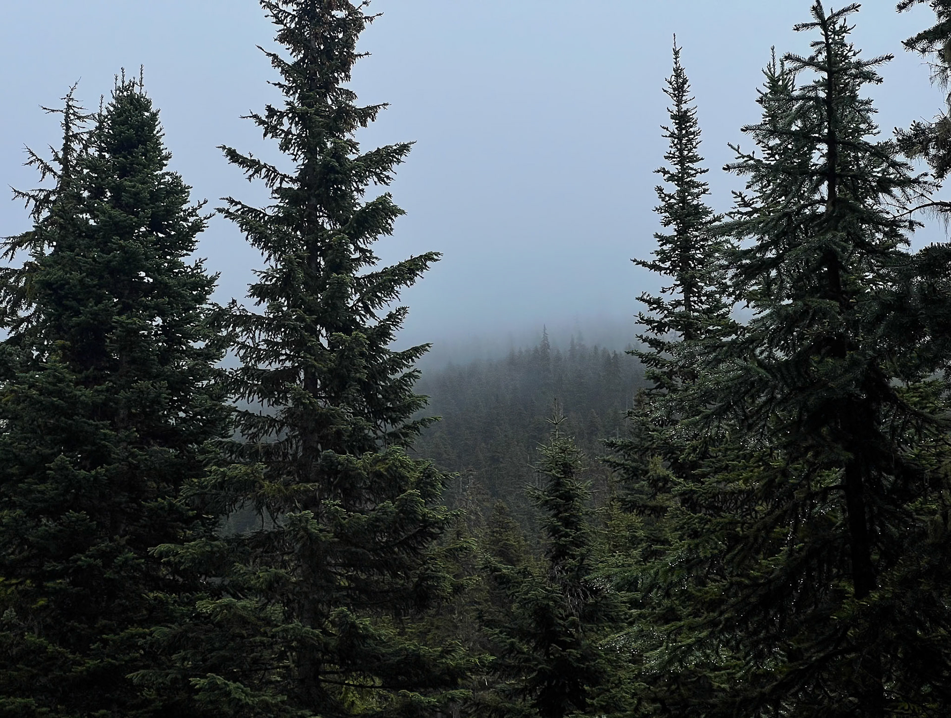 North Cascades, WA