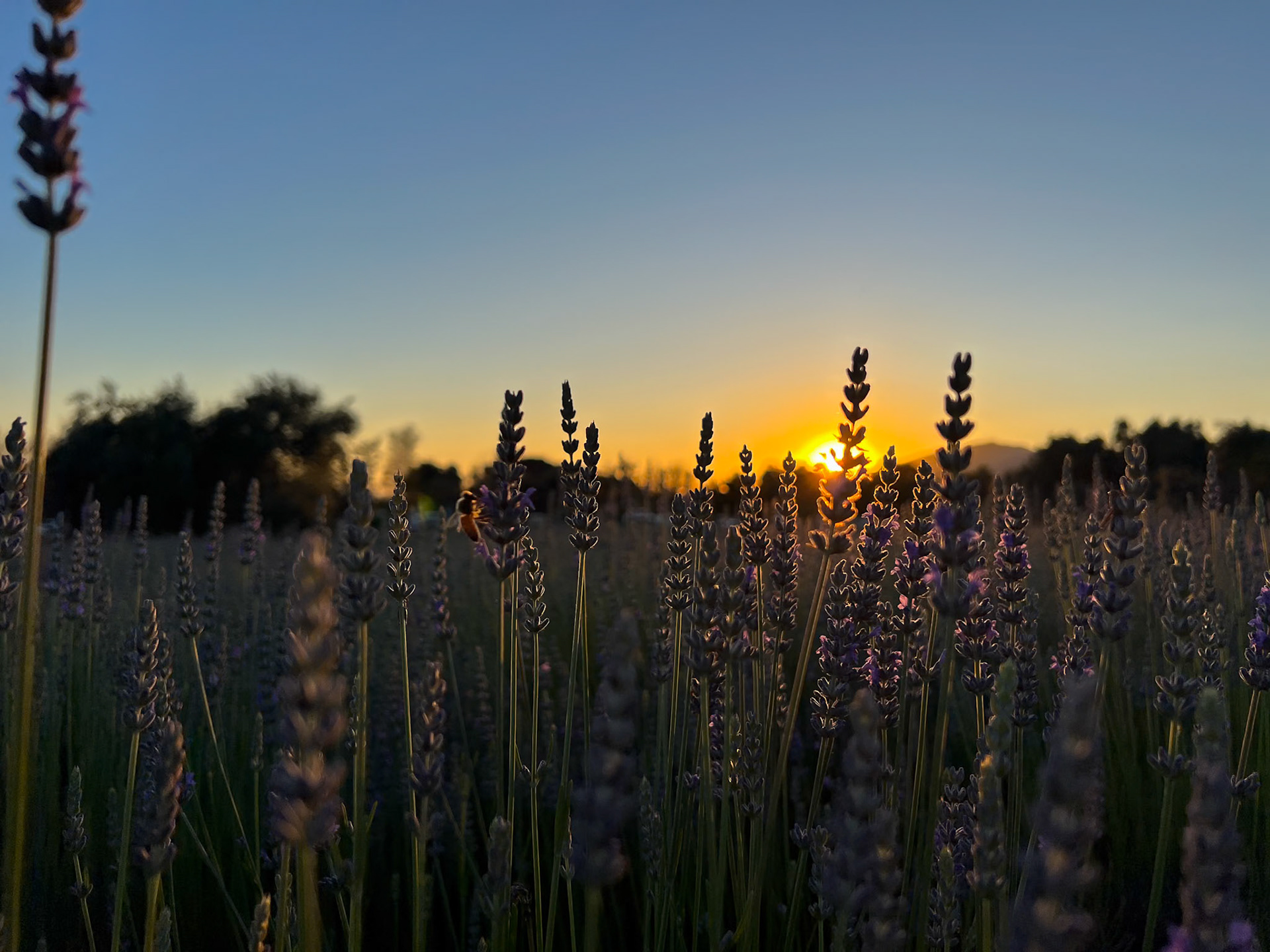 Riverside, CA