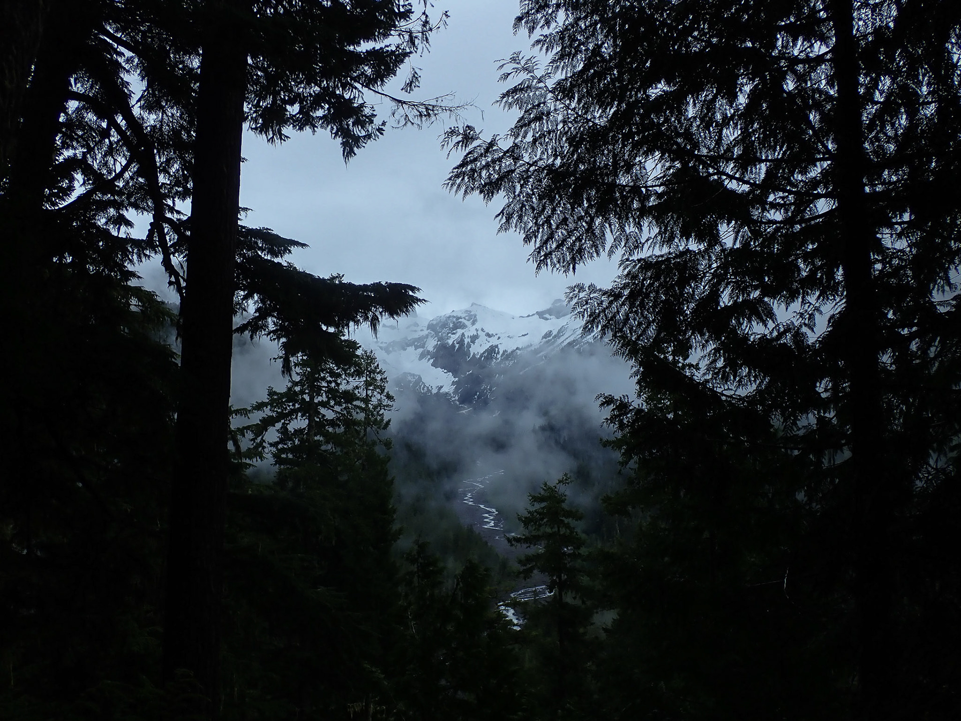 Mt Rainier, WA