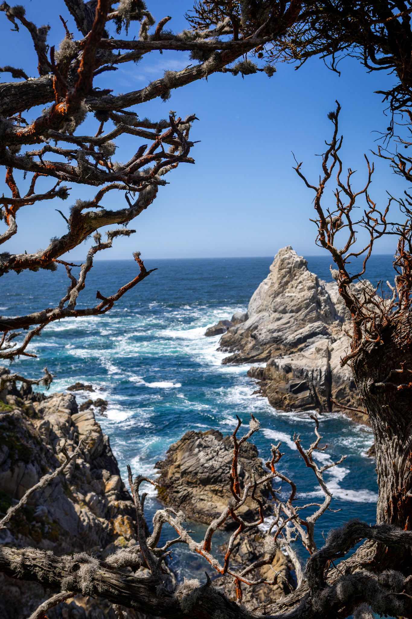 Point Lobos, California