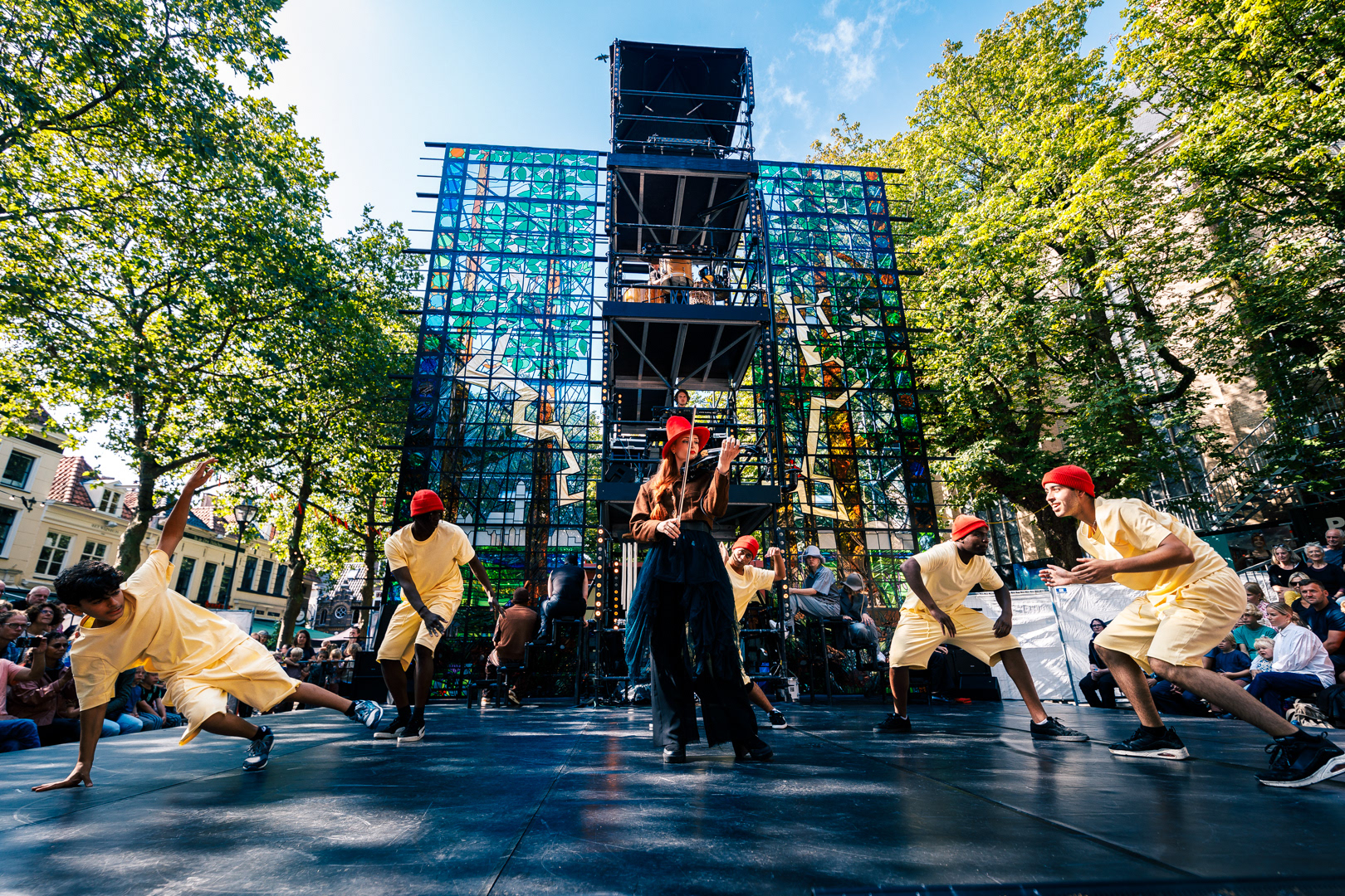 de haan met zijn kippen